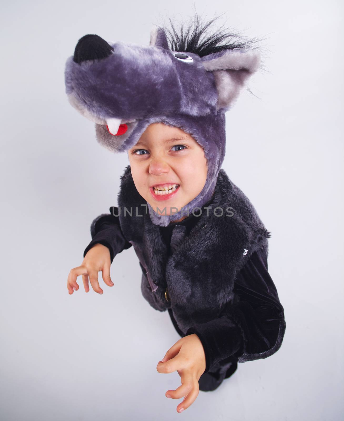 A portrait of a little boy trying a carnival suit of wolf on the grey background