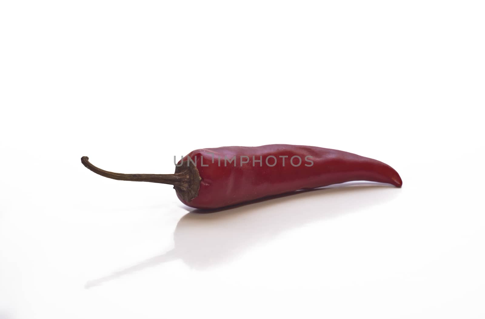 Red hot chili pepper by gandolfocannatella