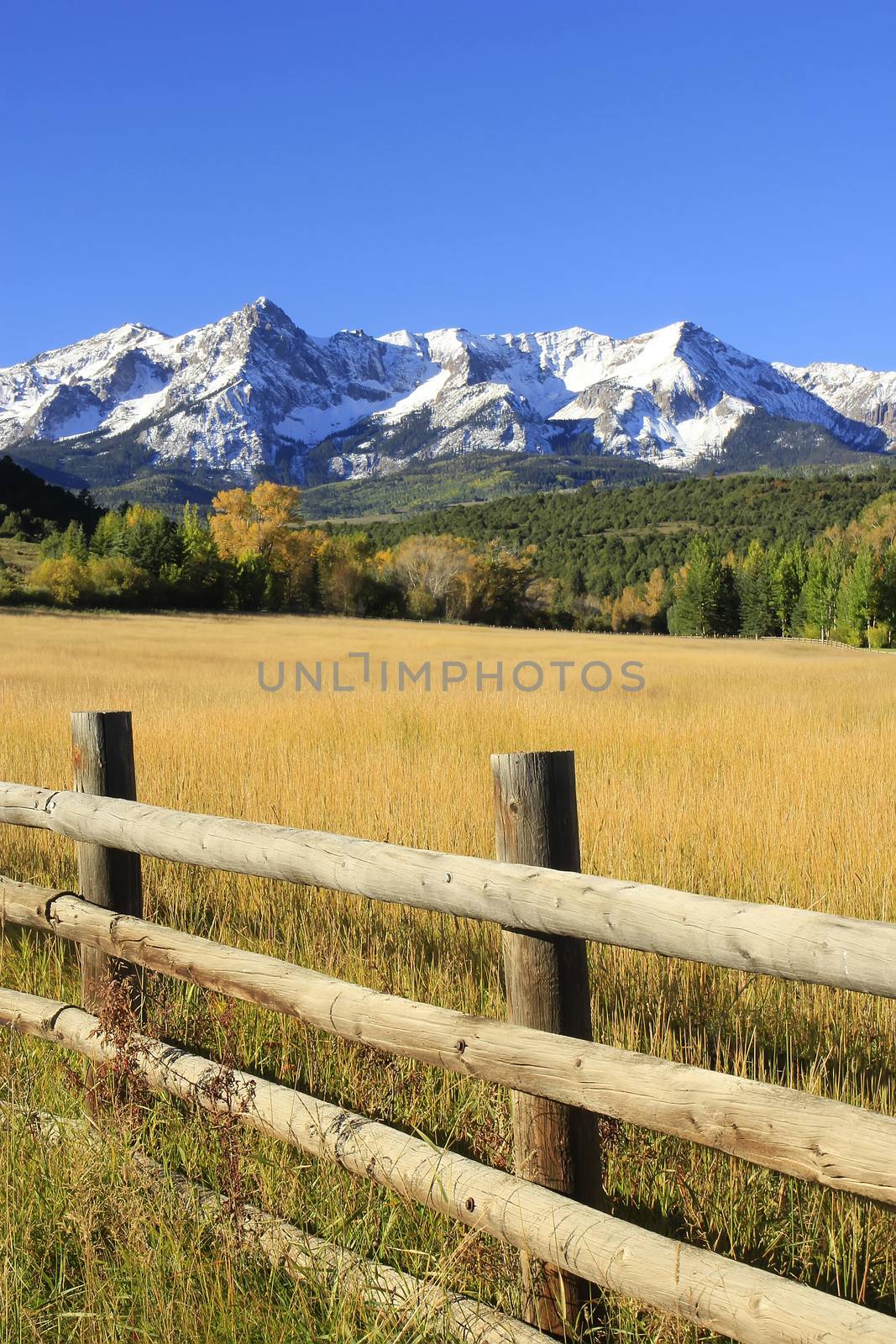 Dallas Divide, Uncompahgre National Forest, Colorado by donya_nedomam