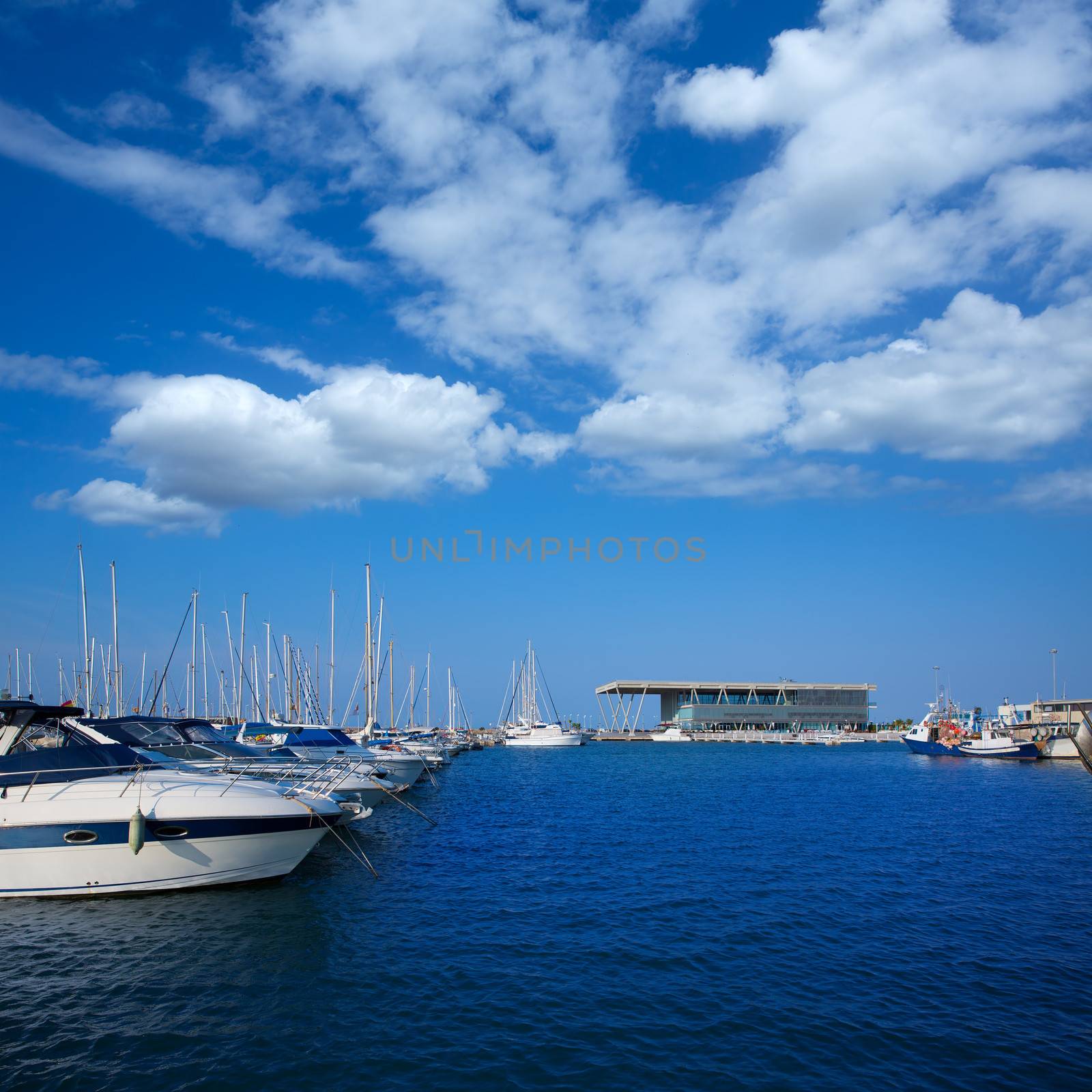 Denia marina boats in alicante Valencia Province of Spain