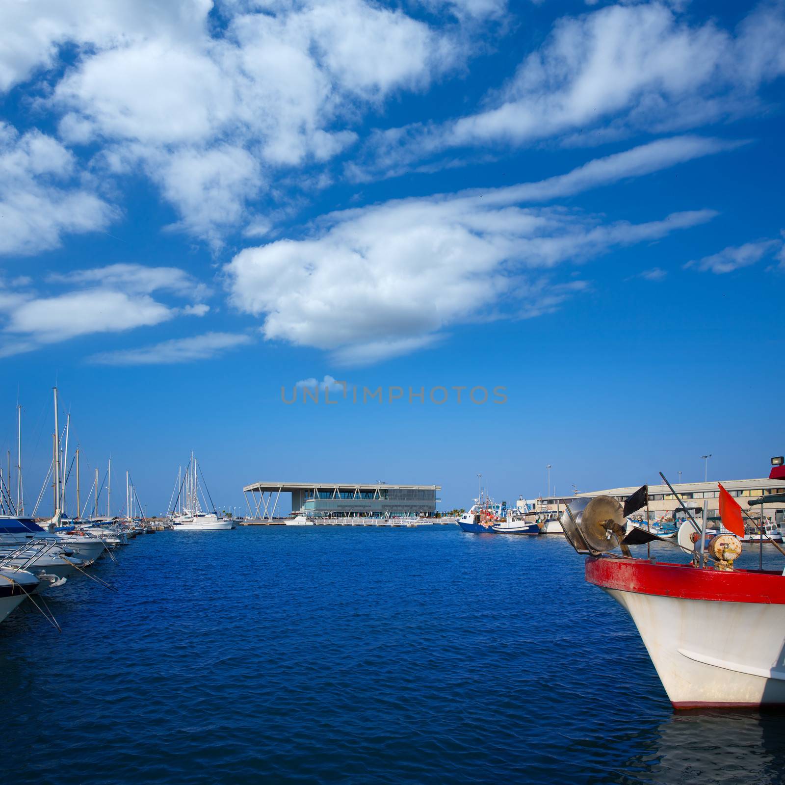 Denia marina boats in alicante Valencia Province Spain by lunamarina