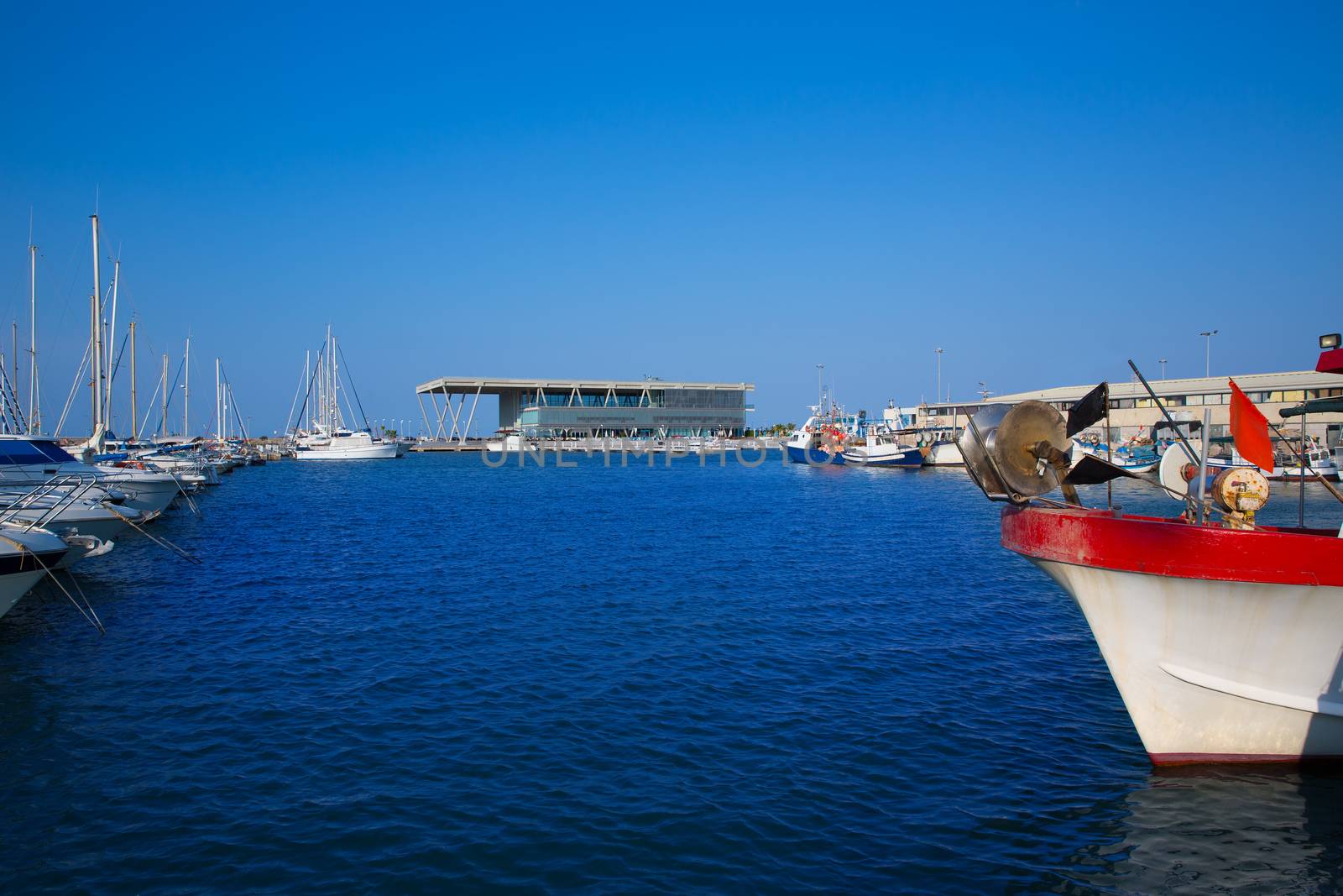 Denia marina boats in alicante Valencia Province of Spain