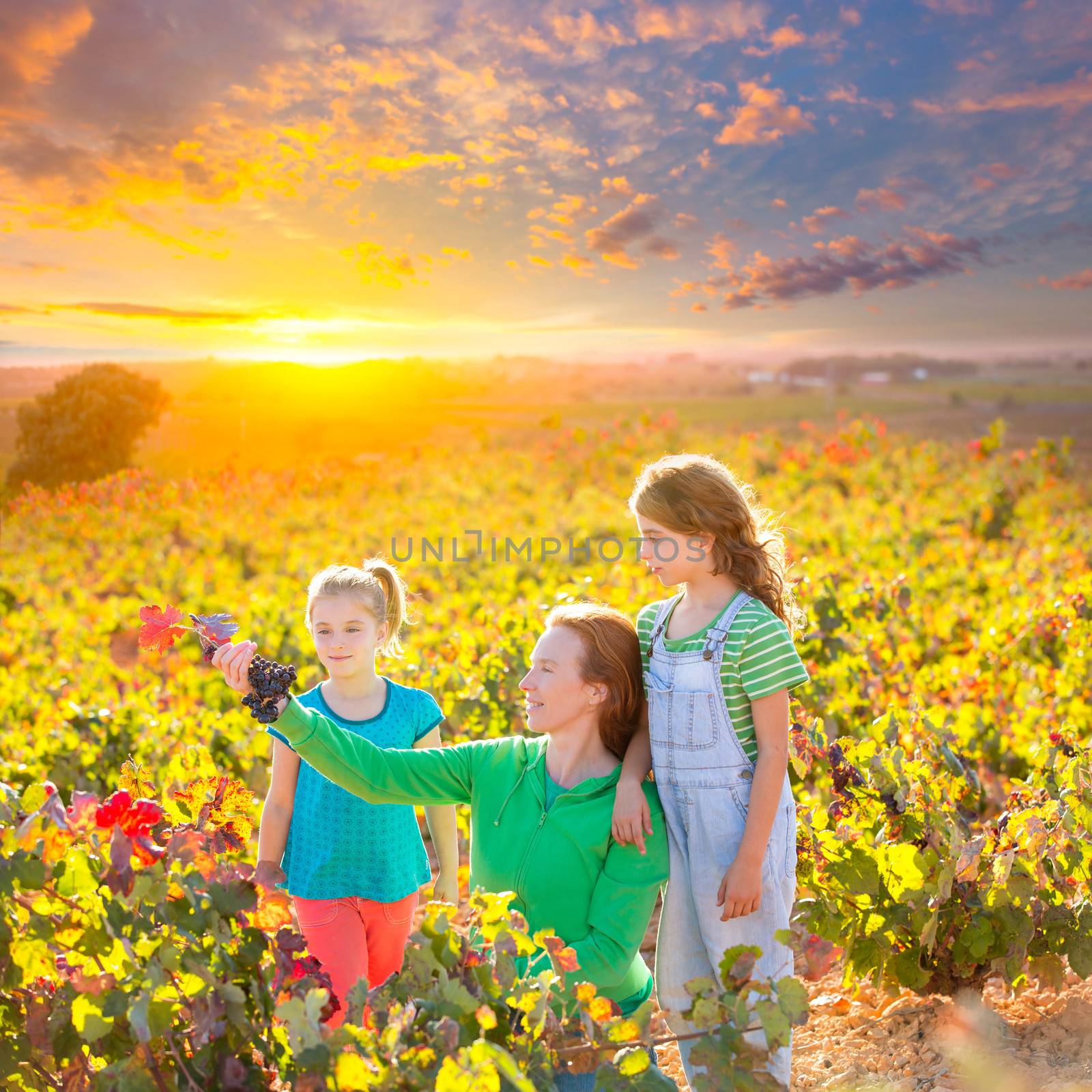 Mother and daughters on autumn vineyard smiling holding grape by lunamarina