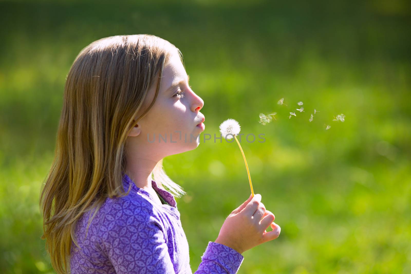 Blond kid girl blowing dandelion flower in green meadow by lunamarina