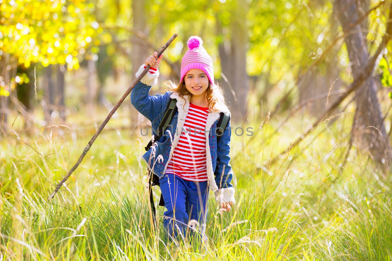 Hiking kid girl with backpack in autum poplar trees forest and walking stick