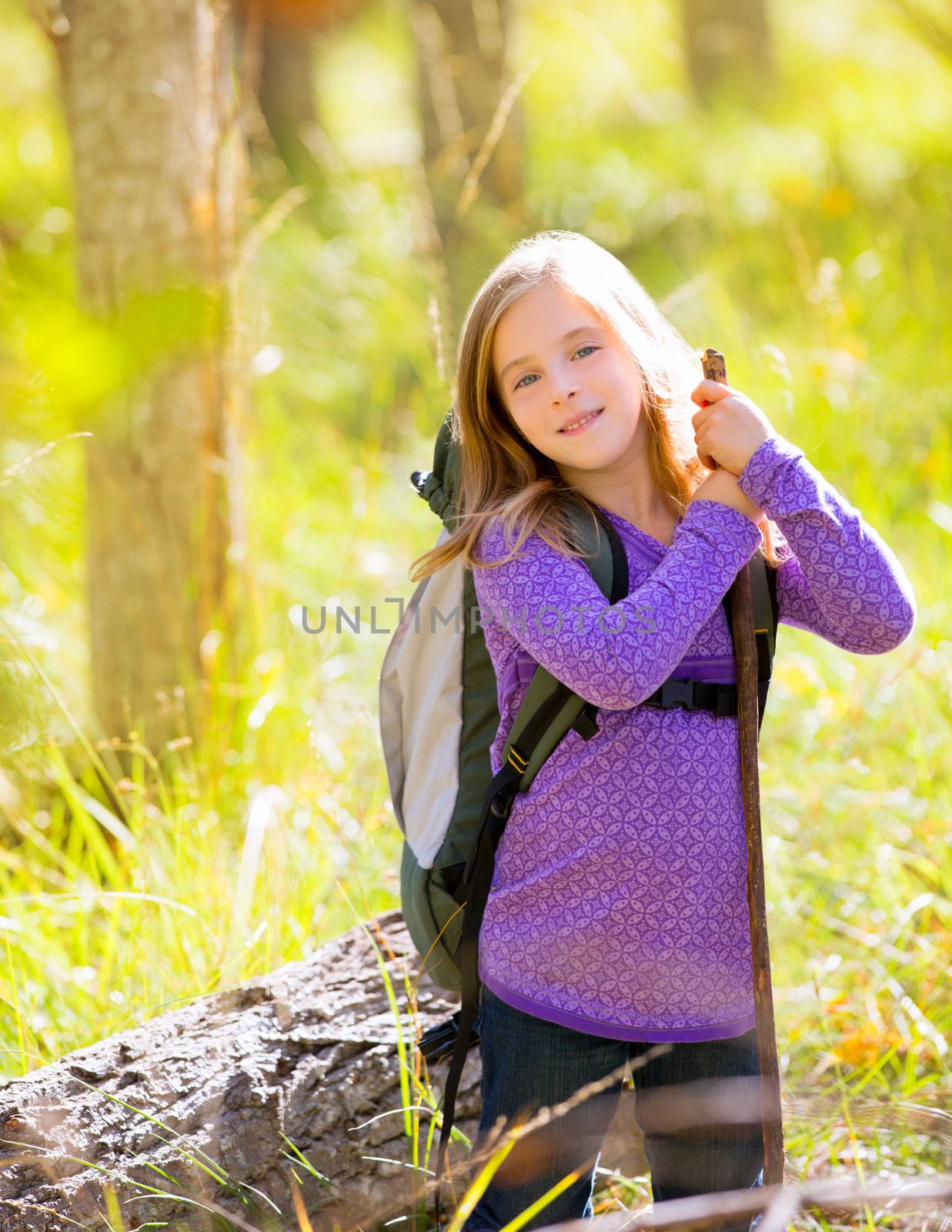 Hiking kid girl with backpack in autum poplar trees forest and walking stick