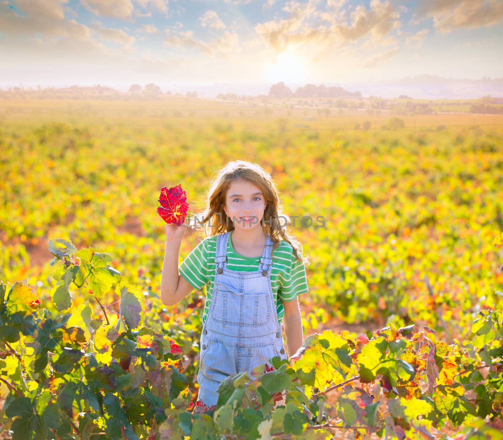 Kid girl in autumn vineyard field and holding red leaf in hand