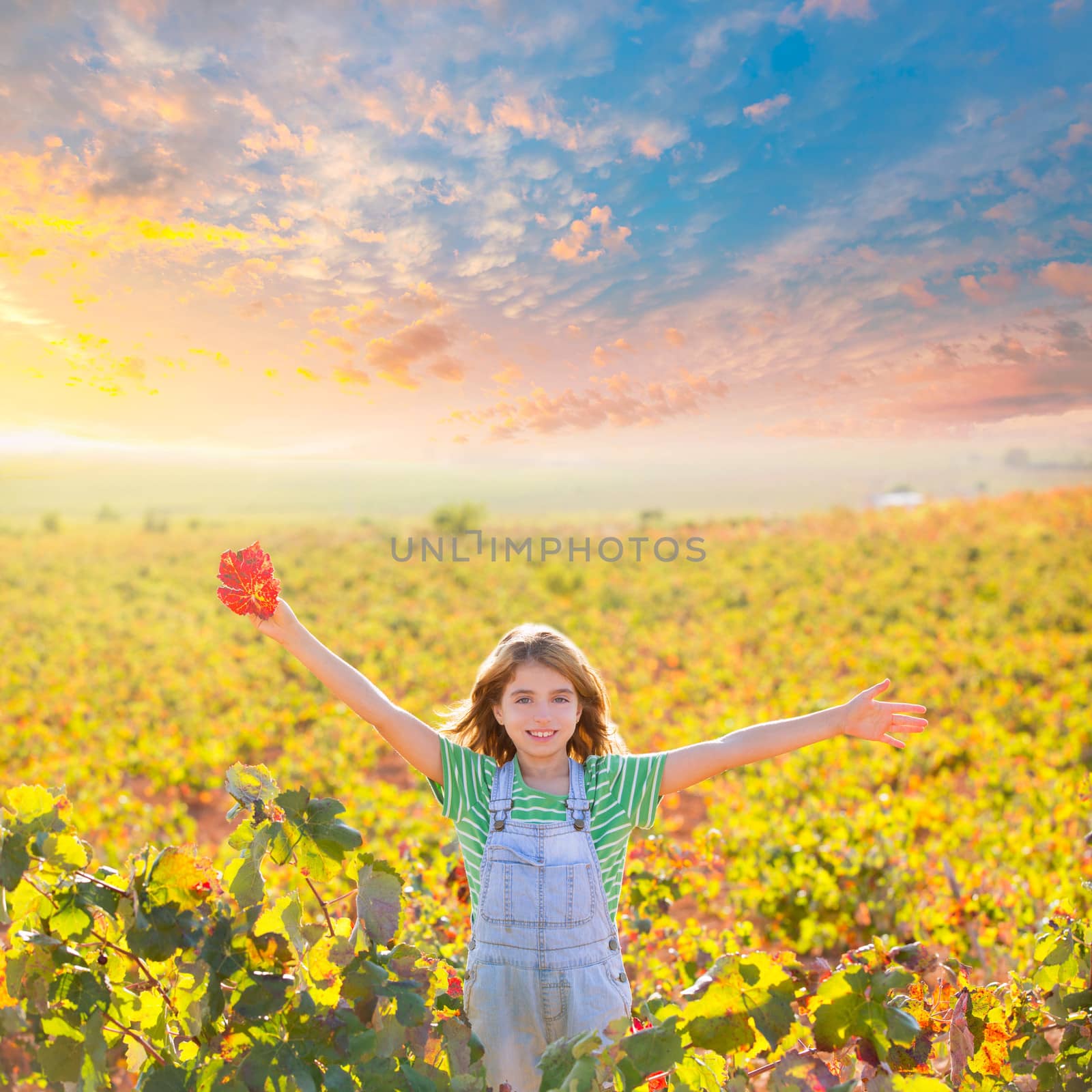 Kid girl in happy autumn vineyard field open arms with red leaf by lunamarina