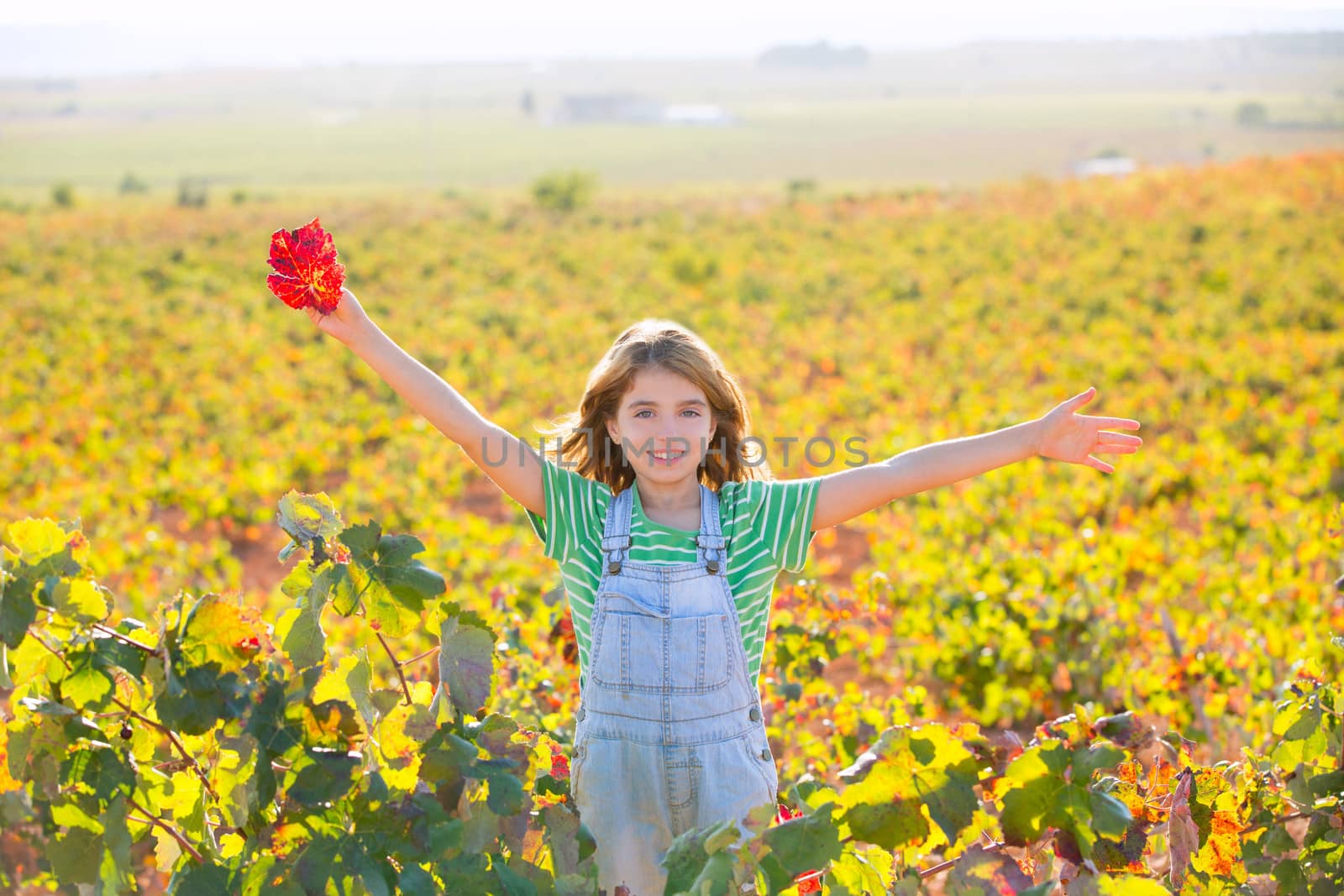 Kid girl in happy autumn vineyard field open arms with red leaf by lunamarina