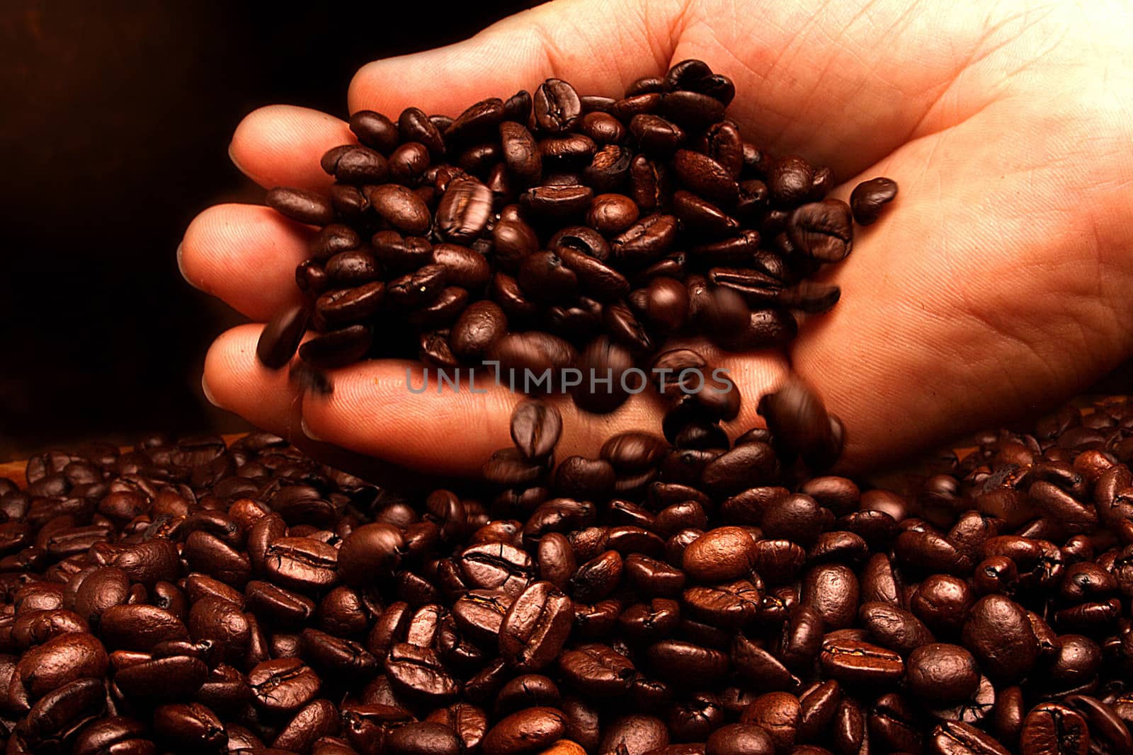 Handful Of Coffee Beans by DiVal