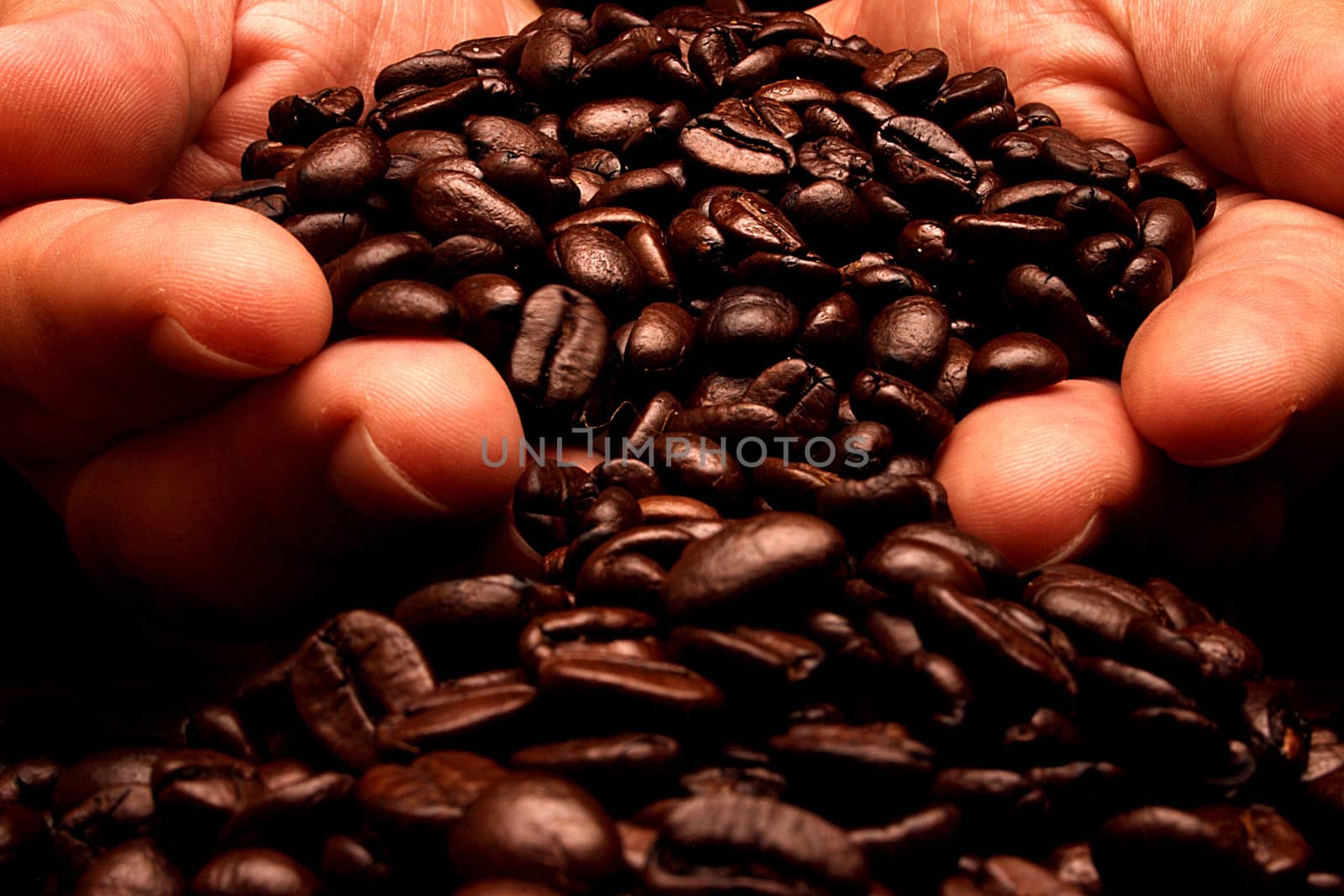 Handful Of Coffee Beans - close up