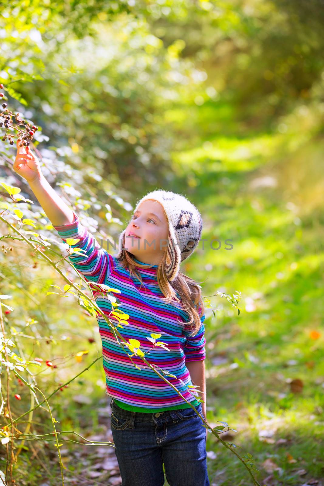 kid winter girl picking mulberry berries in the forest with wool cap