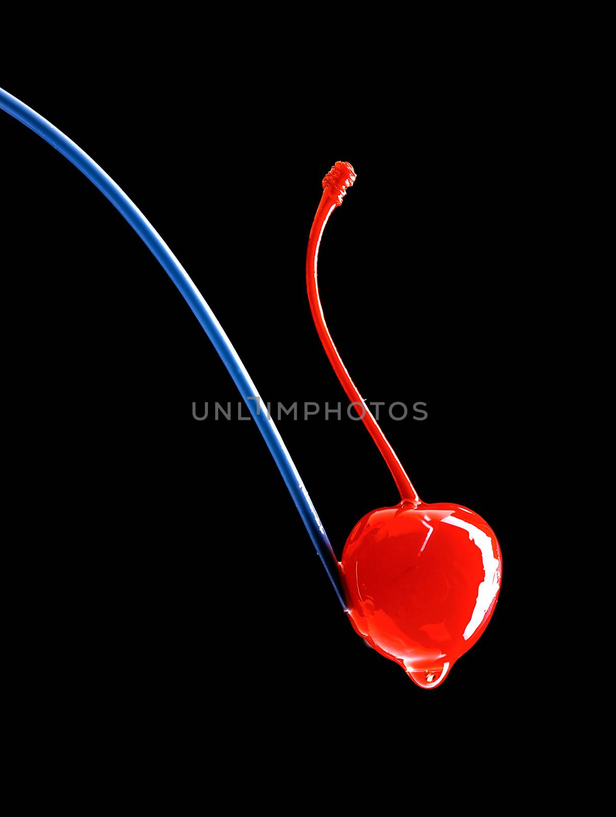 Erotic juicy red cherry on black background.