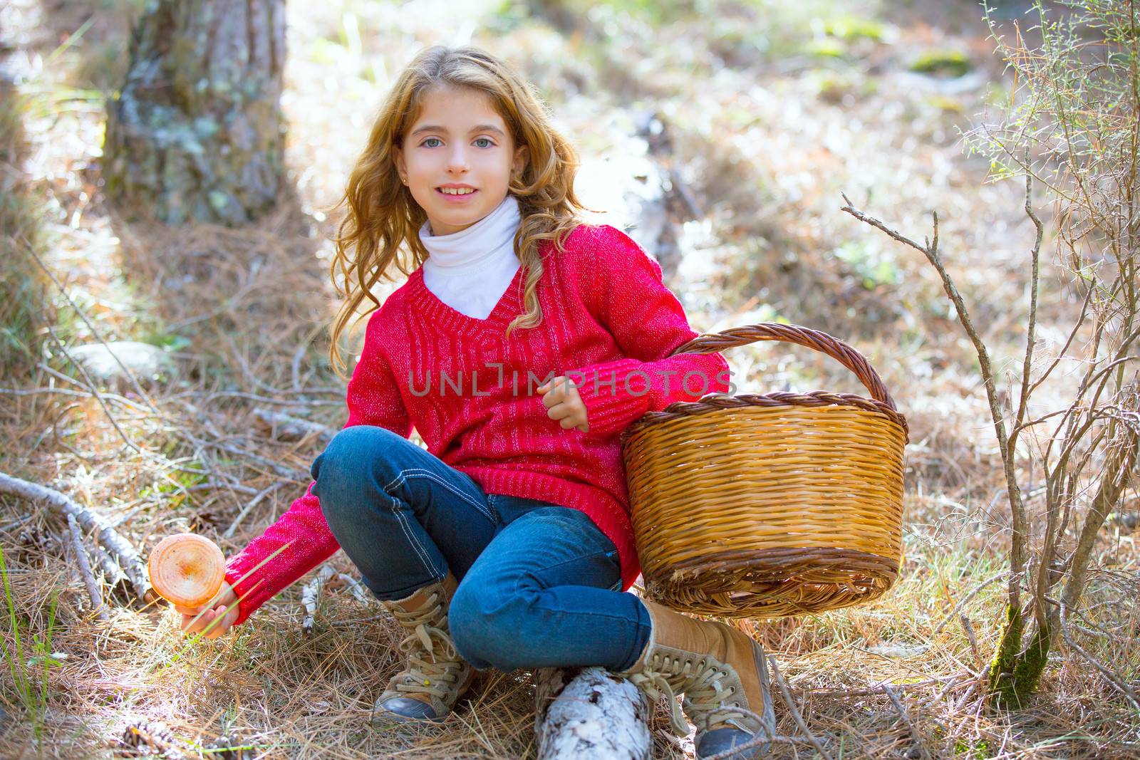 kid girl searching chanterelles mushrooms with basket in autumn by lunamarina