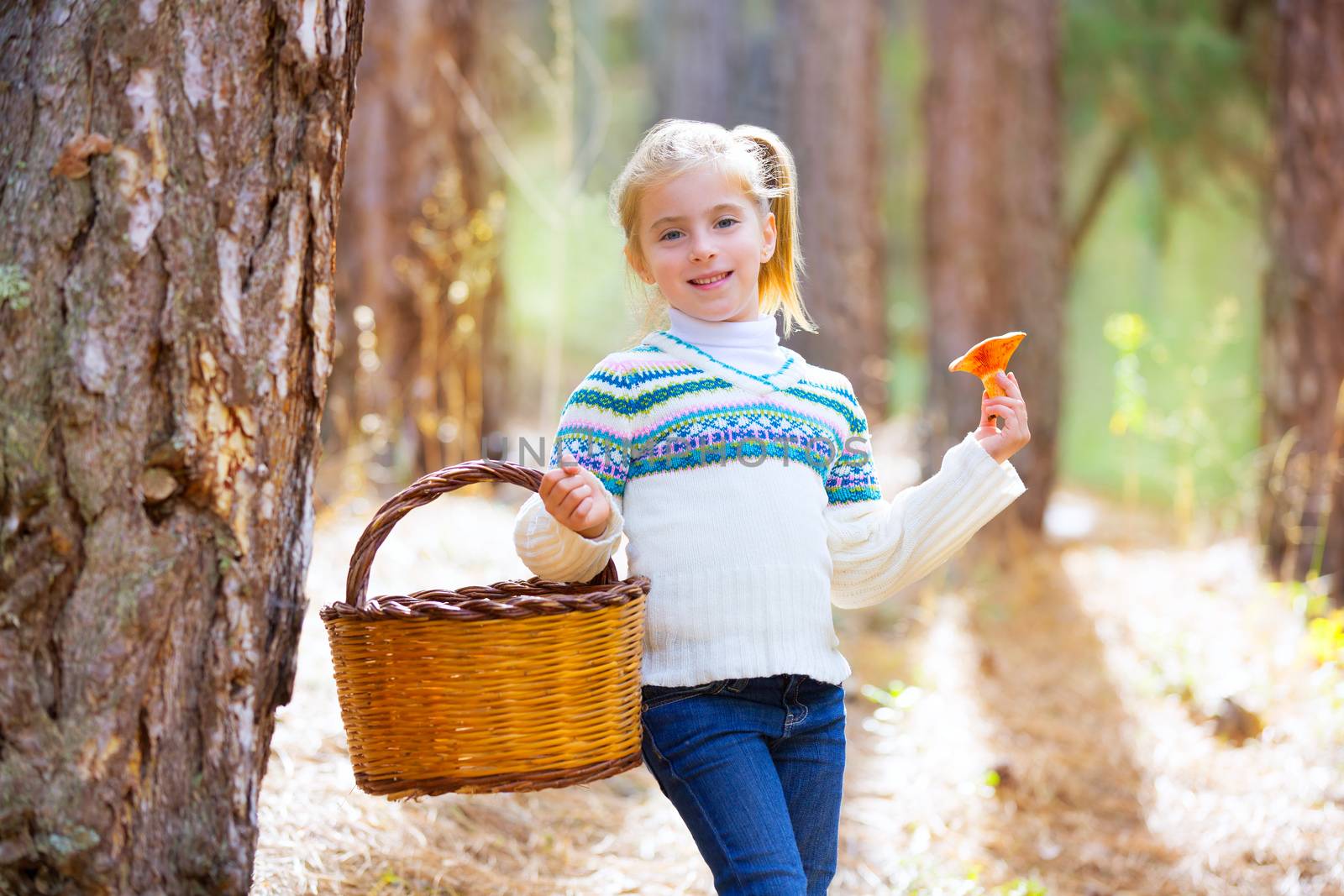 kid girl searching chanterelles mushrooms with basket in autumn by lunamarina