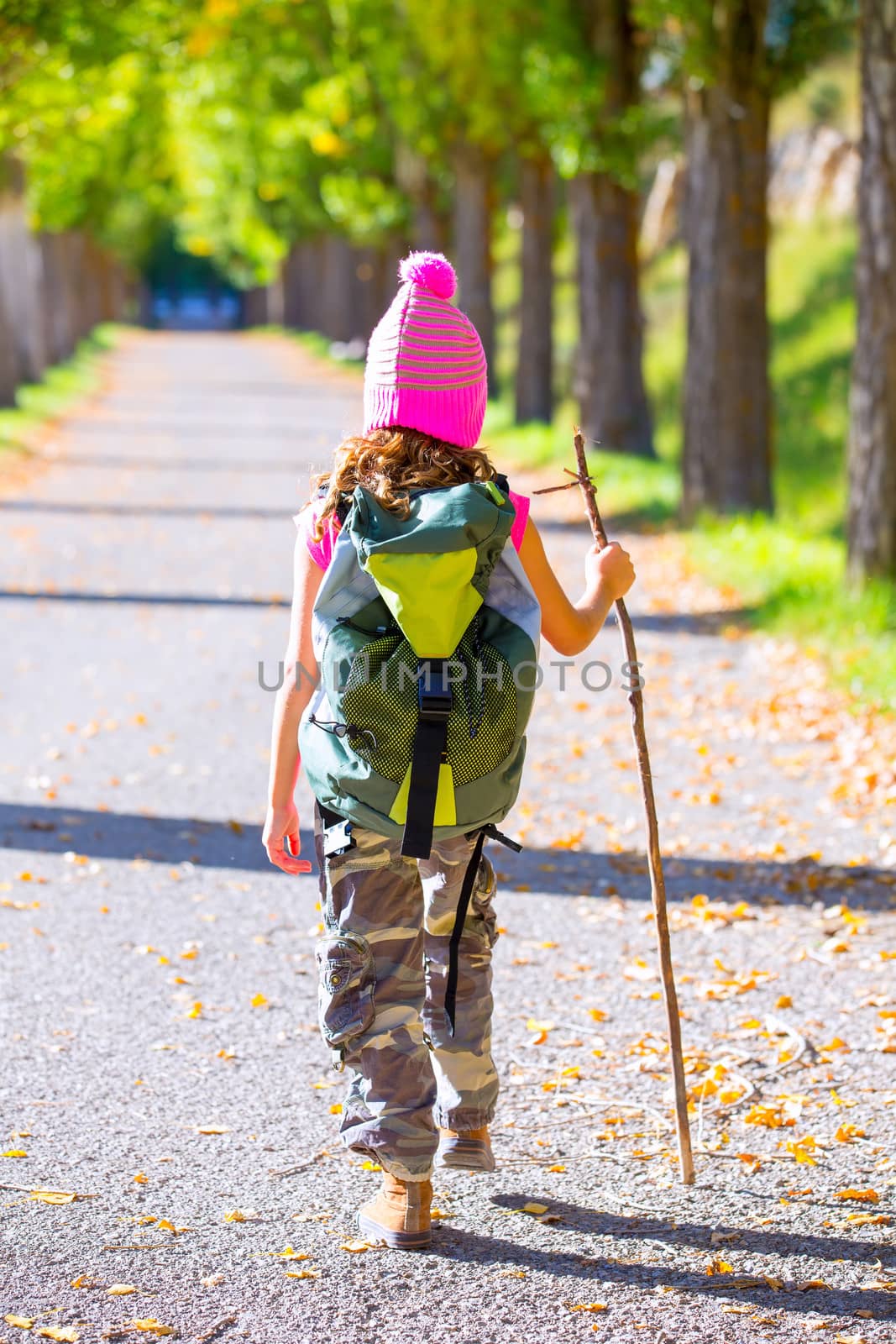 hiking kid girl with walking stick and backpack rear view by lunamarina