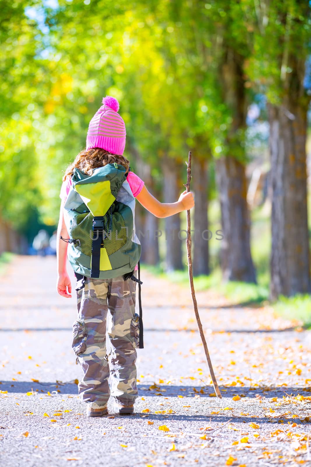 hiking kid girl with walking stick and backpack rear view at autumn track and camouflage pants