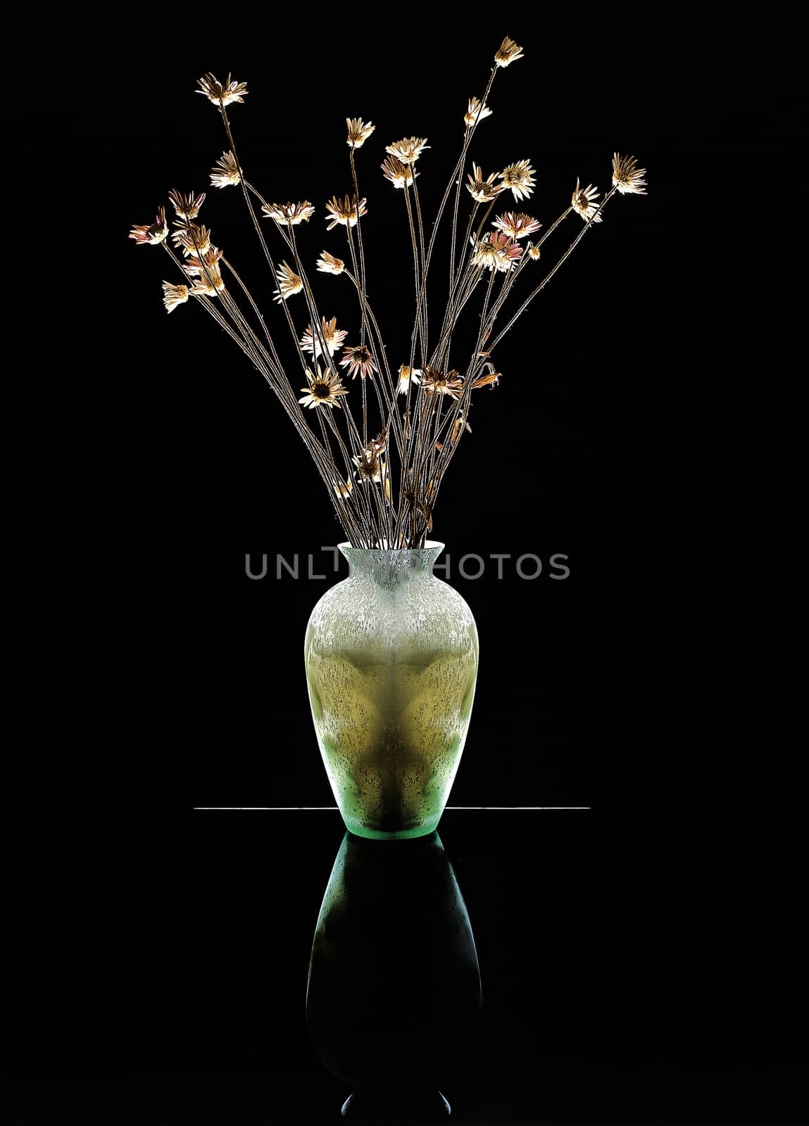 Vase with dry flowers in black surrounding
