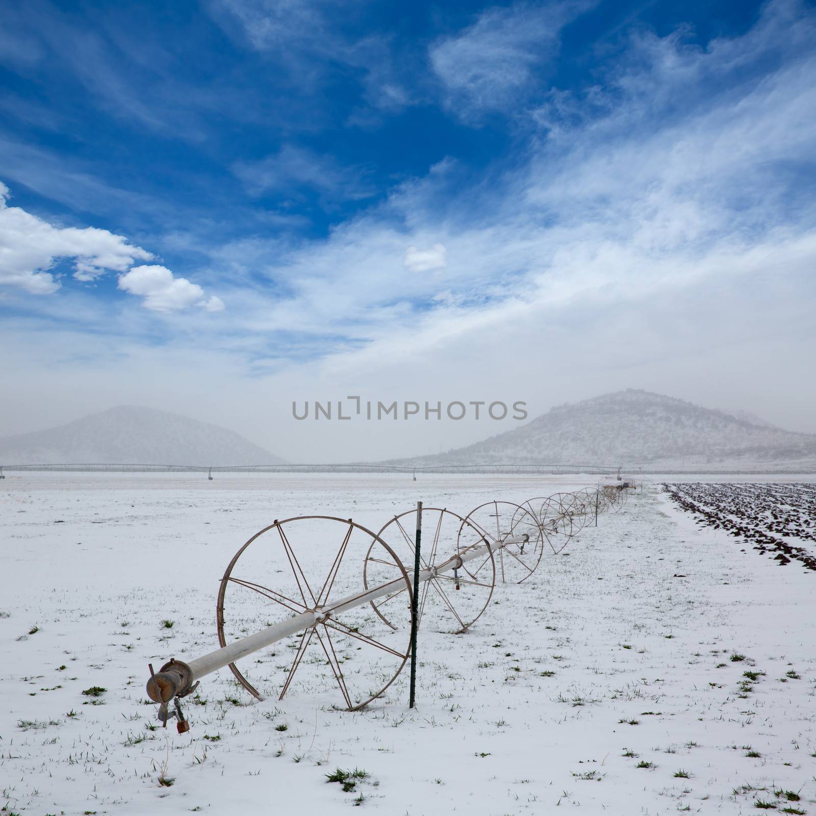 Cereal fields with irrigation wheels with snow in Nevada by lunamarina