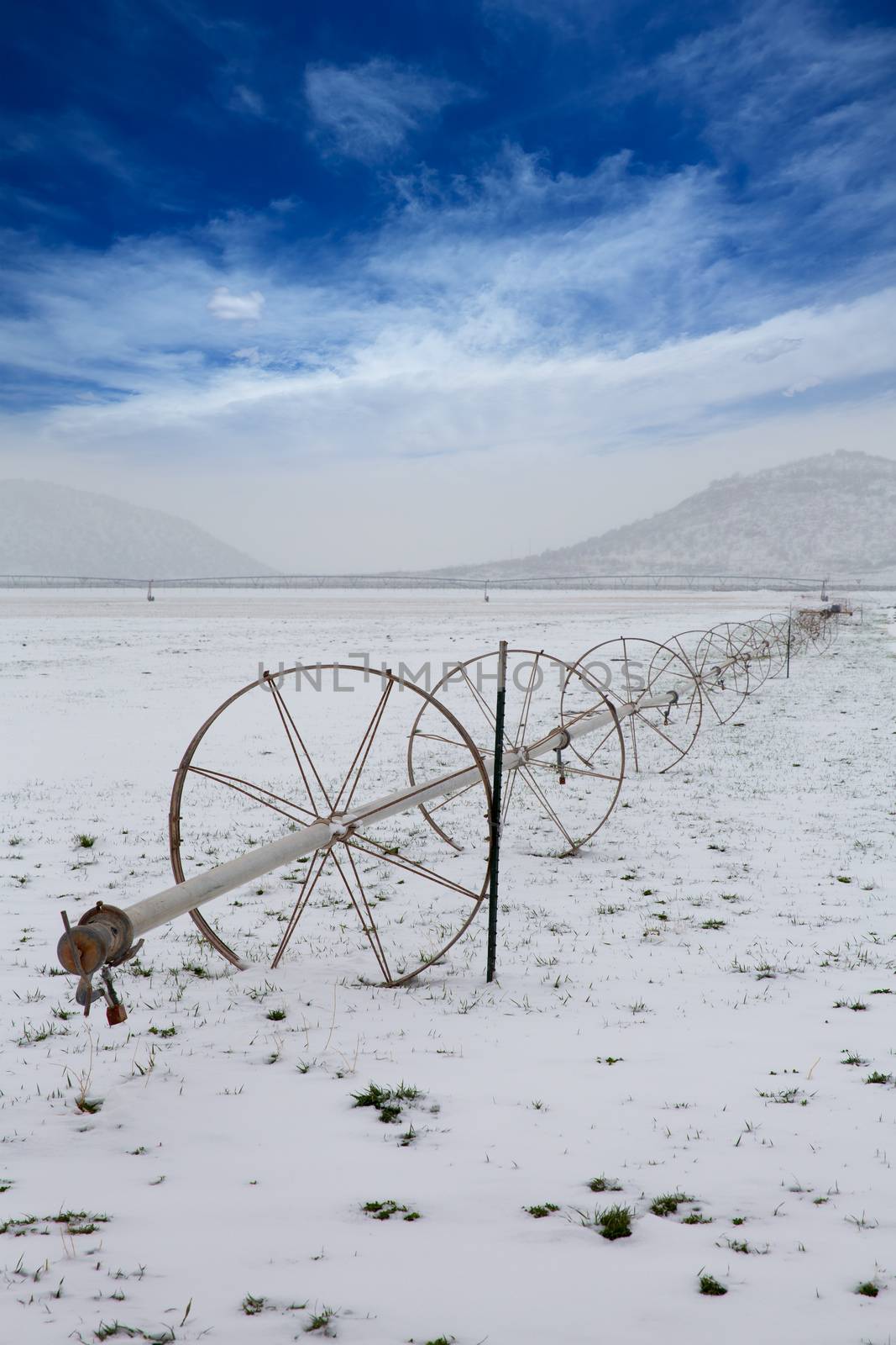 Cereal fields with irrigation wheels with snow in Nevada by lunamarina