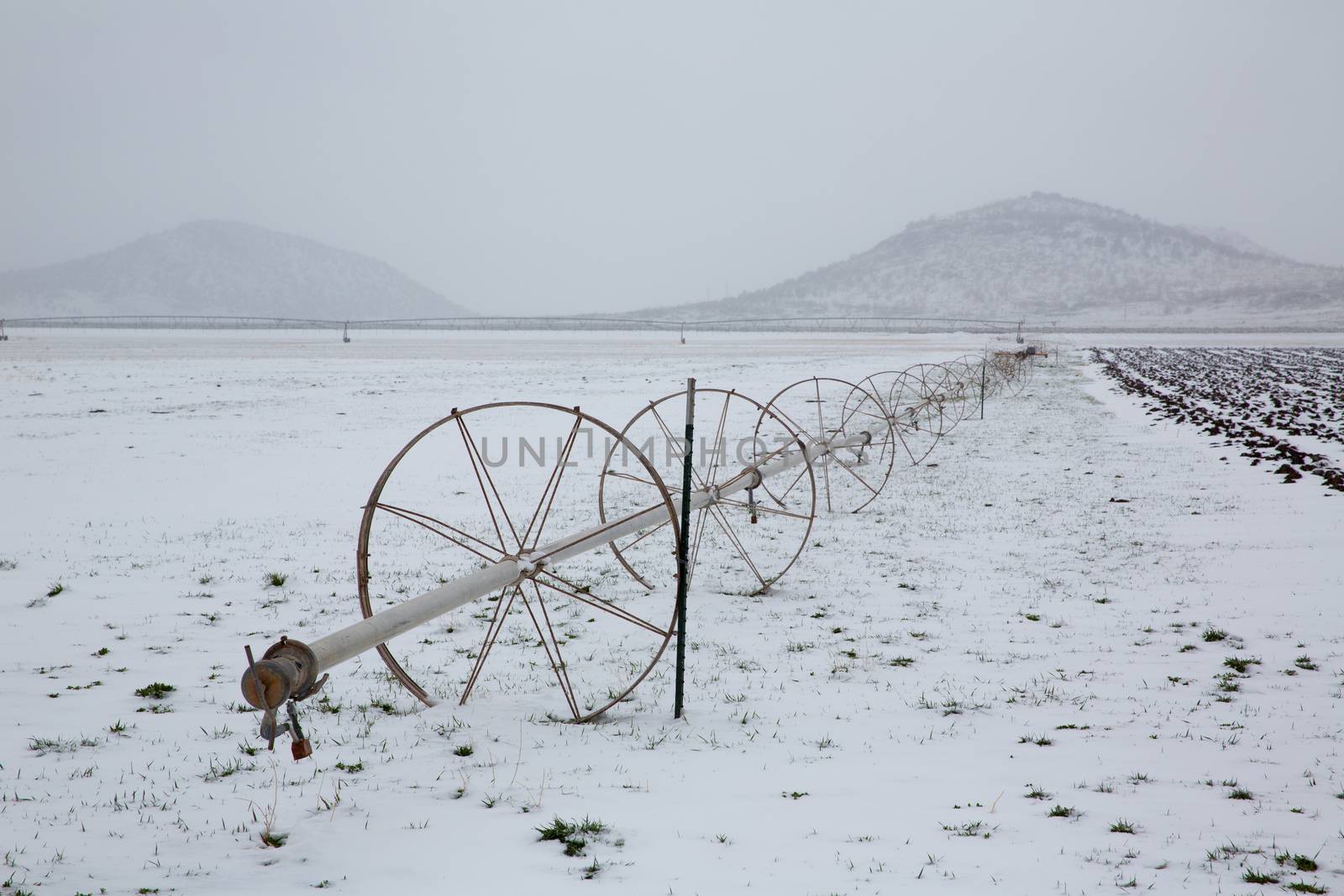 Cereal fields with irrigation wheels with snow in Nevada USA