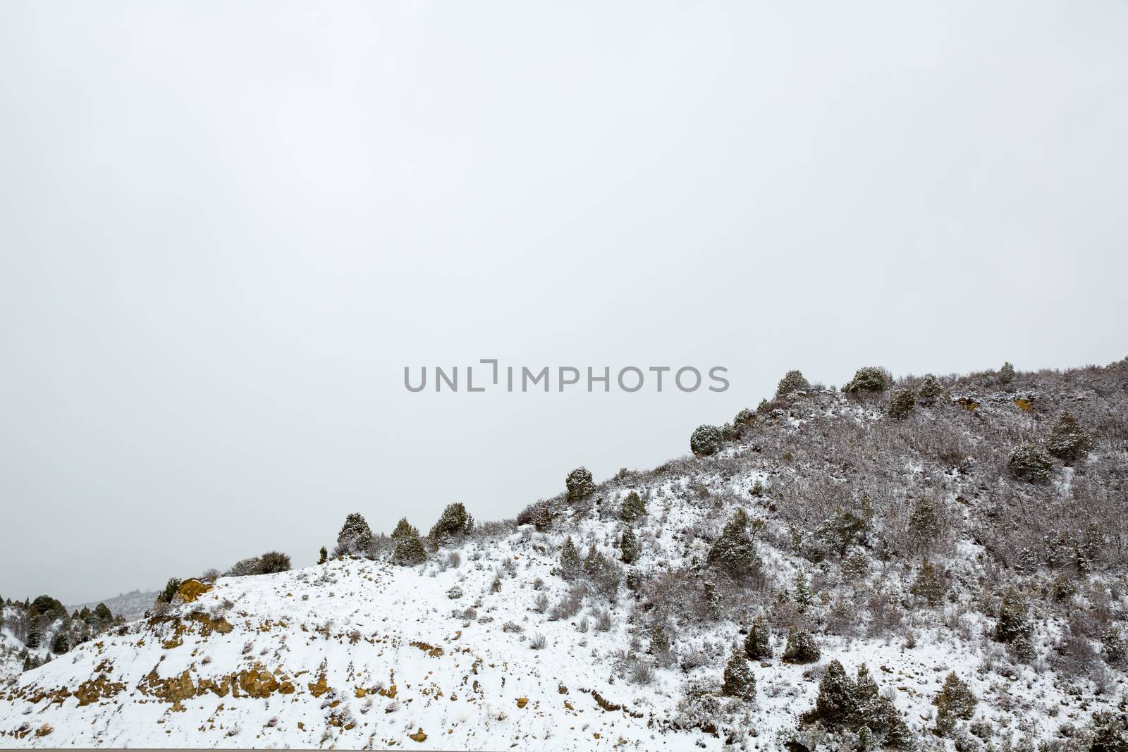 Nevada USA spring first snow in the mountains