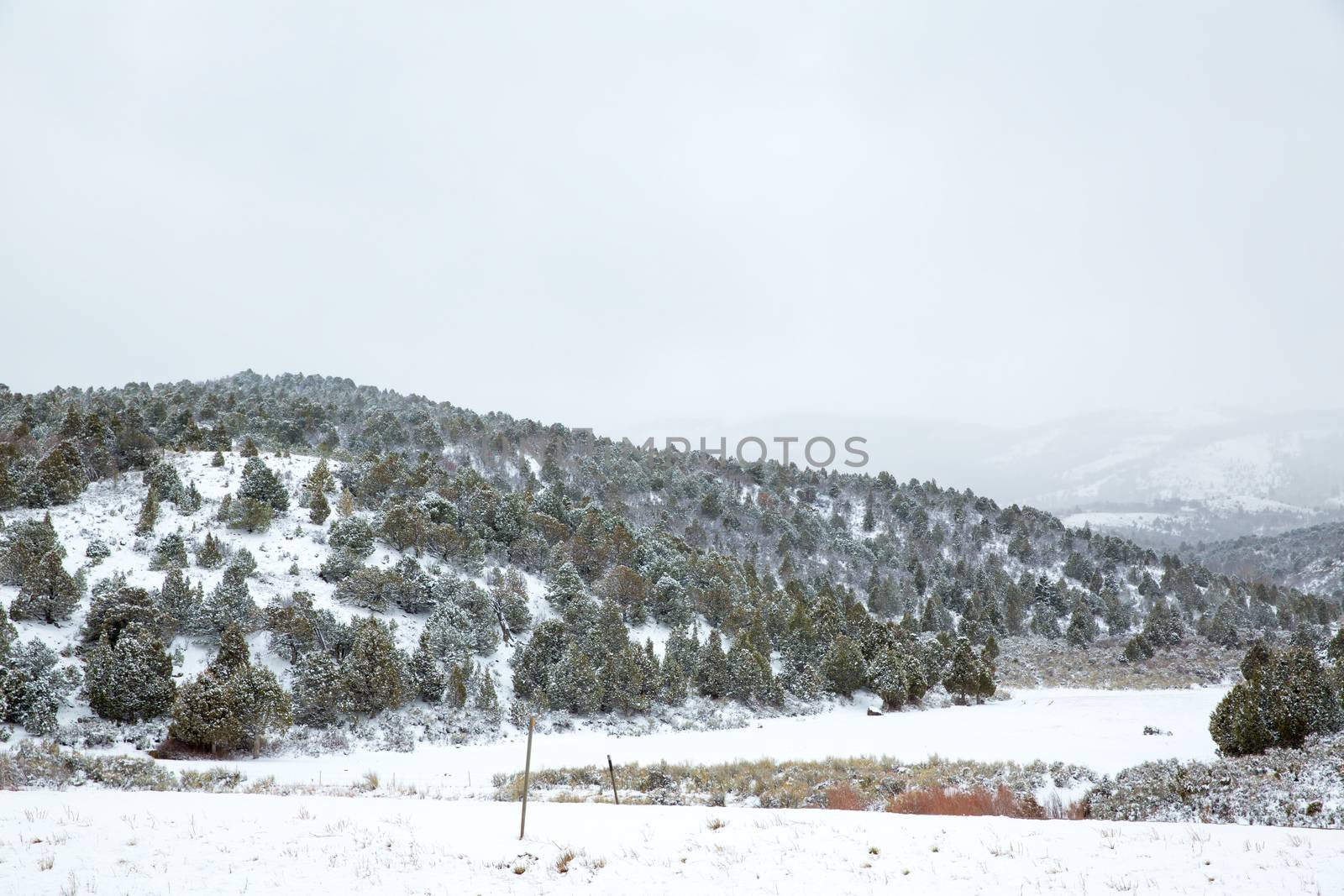 Nevada USA spring first snow in the mountains