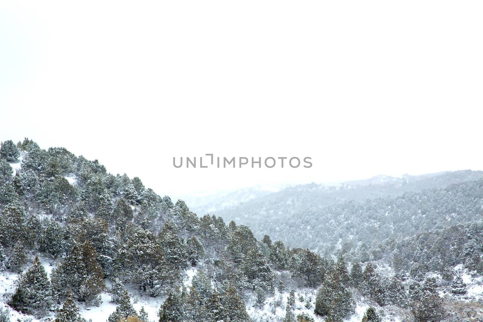 Nevada USA spring first snow in the mountains