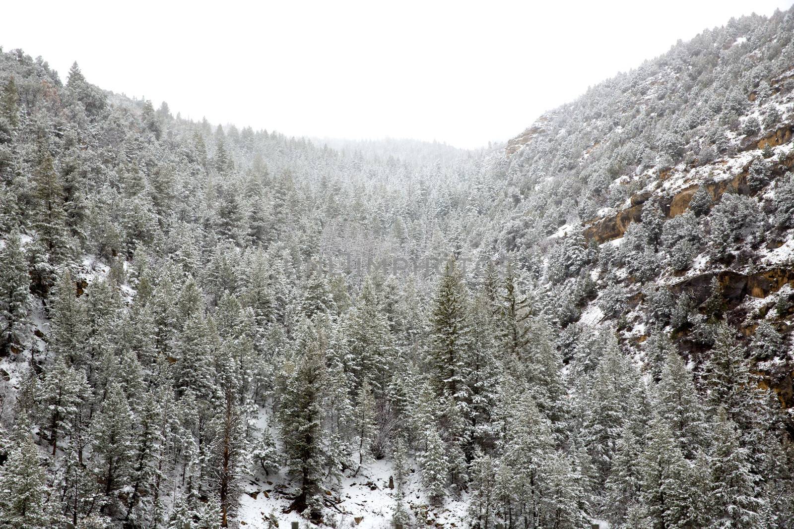 Nevada USA spring first snow in the mountains