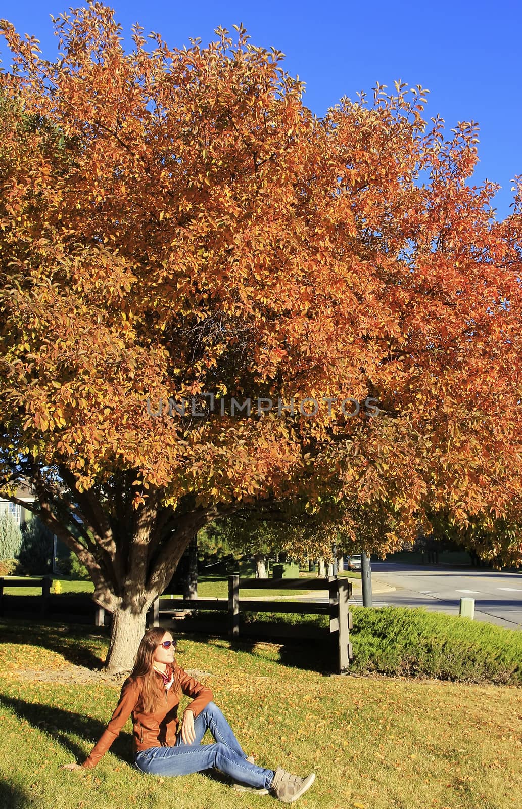 Young woman sitting under flowering pear tree by donya_nedomam