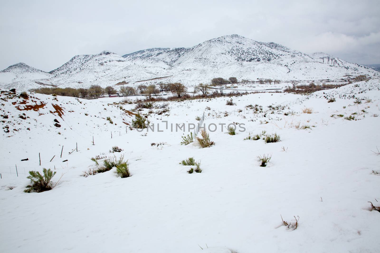 Nevada USA spring first snow in the mountains