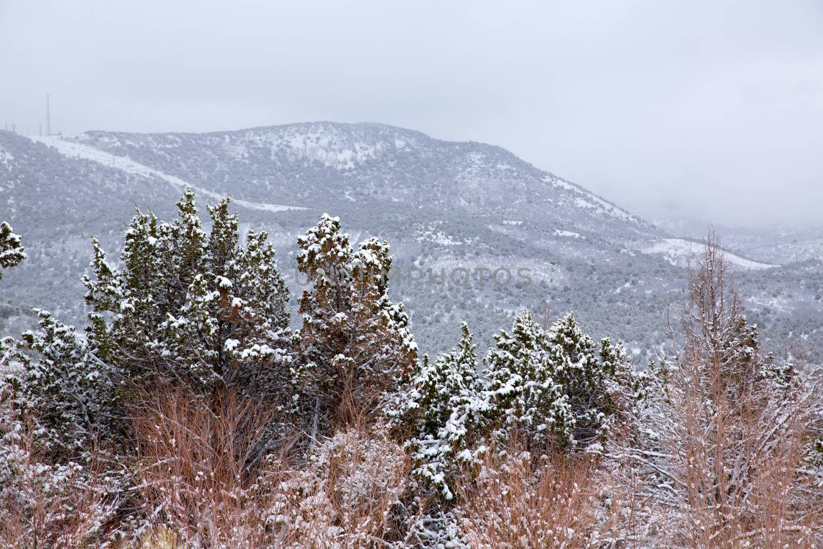 Nevada USA spring first snow in the mountains