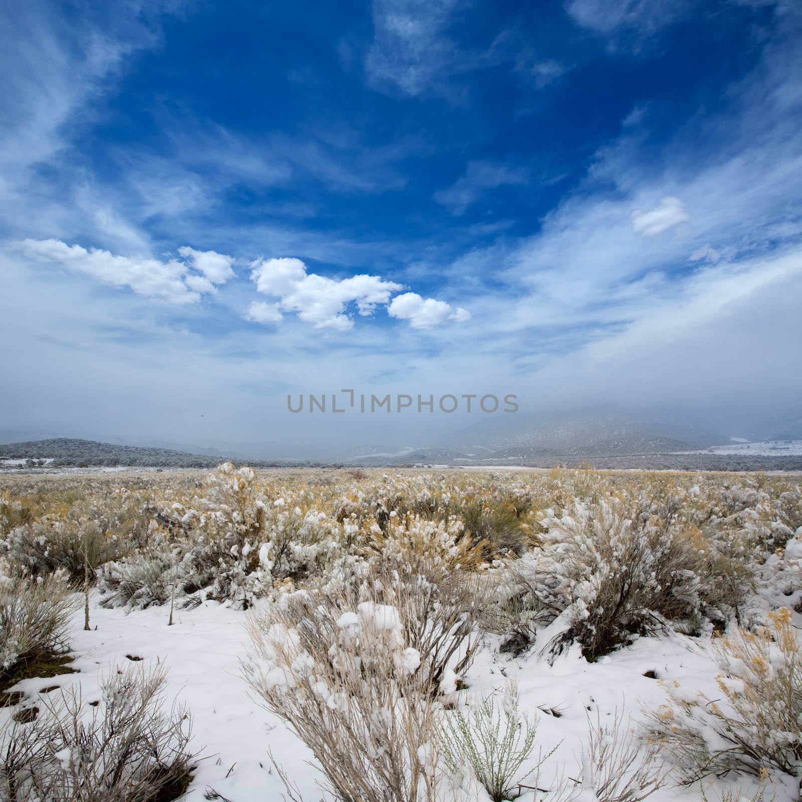 Nevada USA spring snow in the mountains by lunamarina