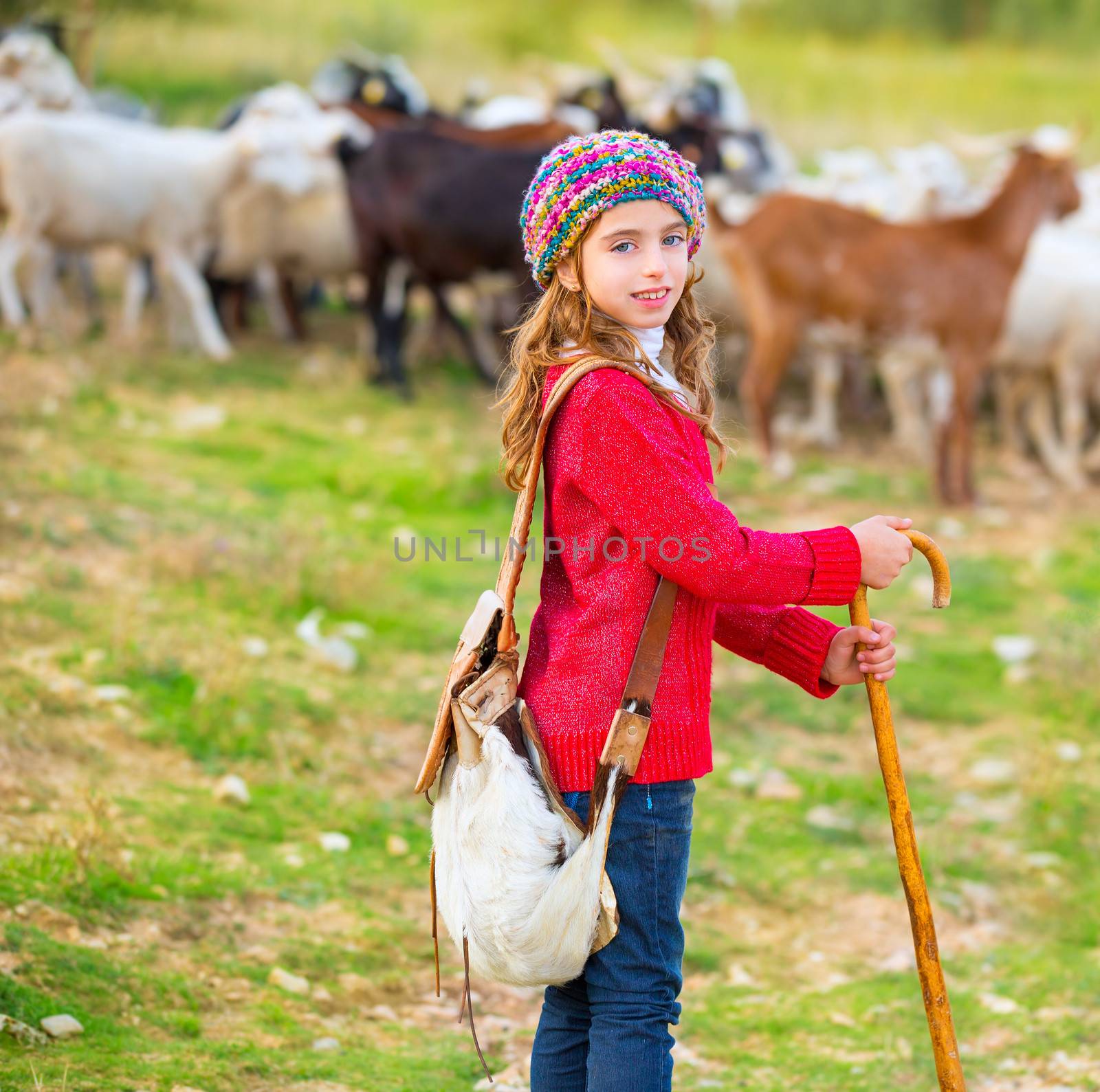 Kid girl shepherdess happy with flock of sheep and stick by lunamarina