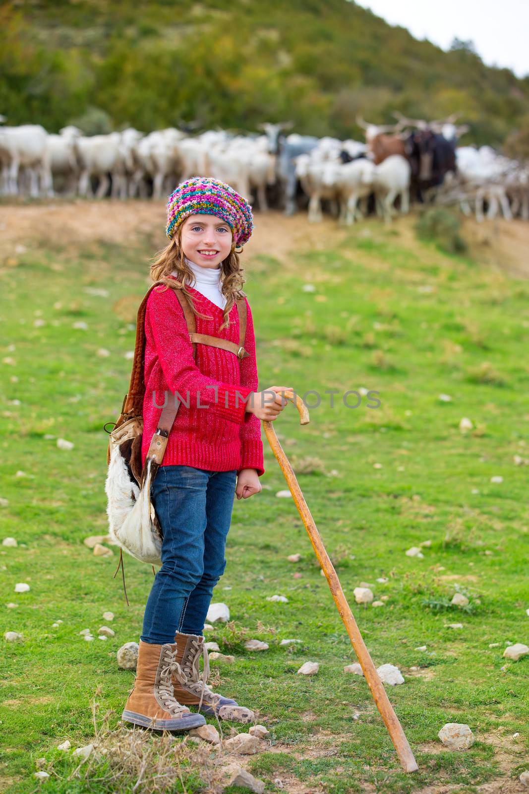 Kid girl shepherdess happy with flock of sheep and stick by lunamarina