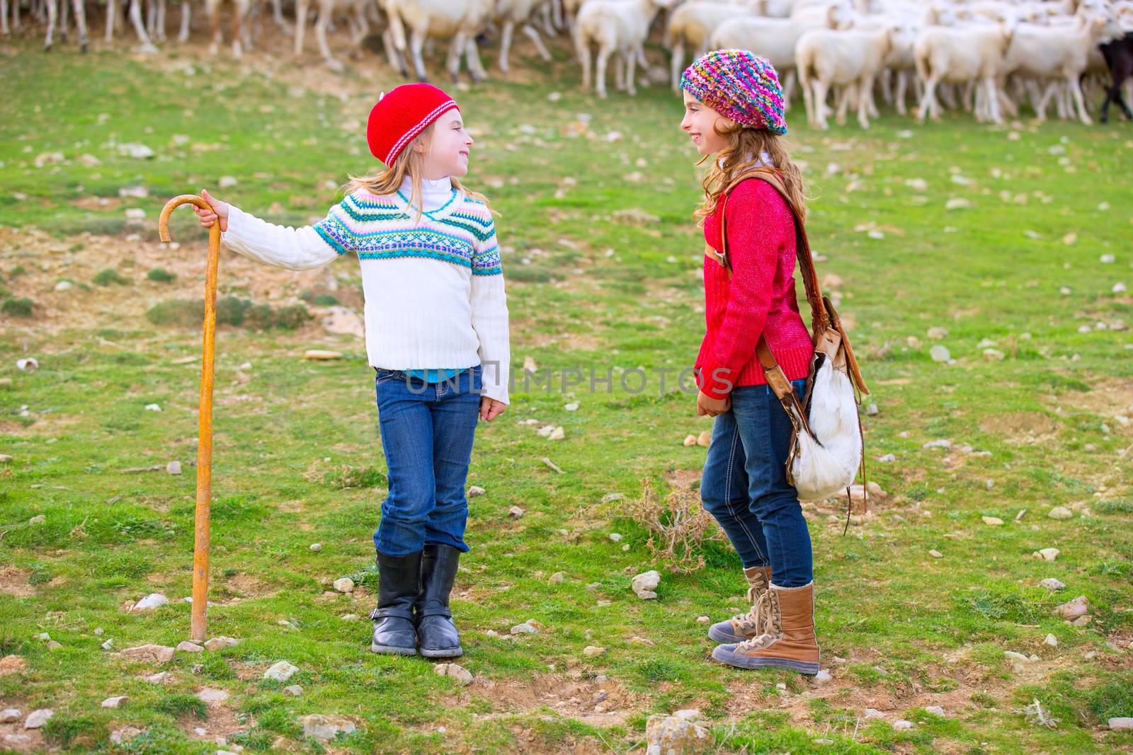 Kid girl shepherdess sisters happy with flock of sheep and stick by lunamarina