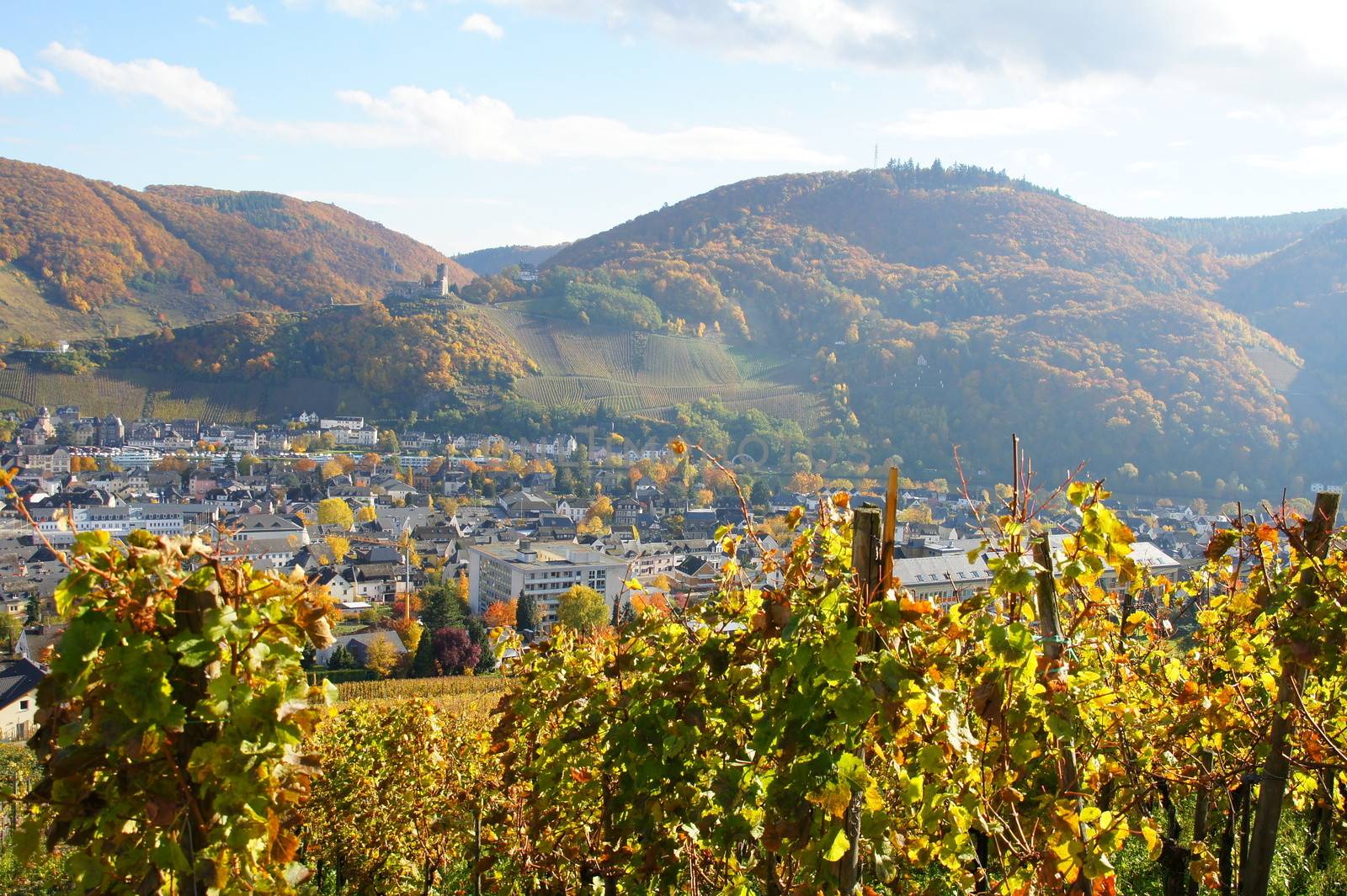 Bernkastel-Kues an der Mosel im Herbst
