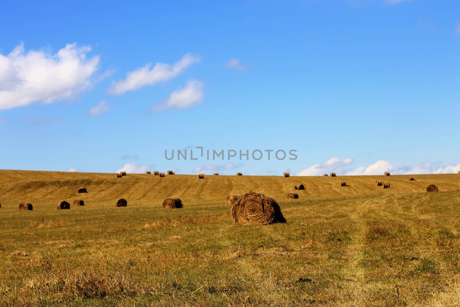 Straw roll bale on the field of farmland