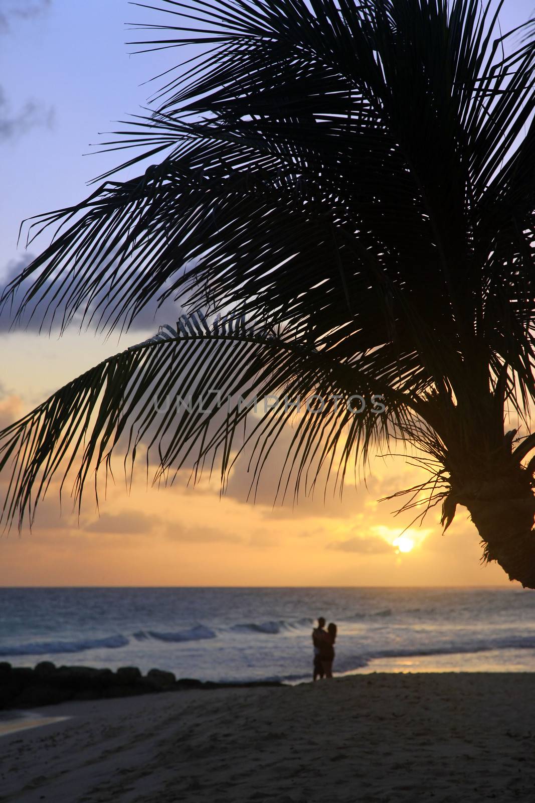 Romantic couple at beach with sunset in the background at Barbados island