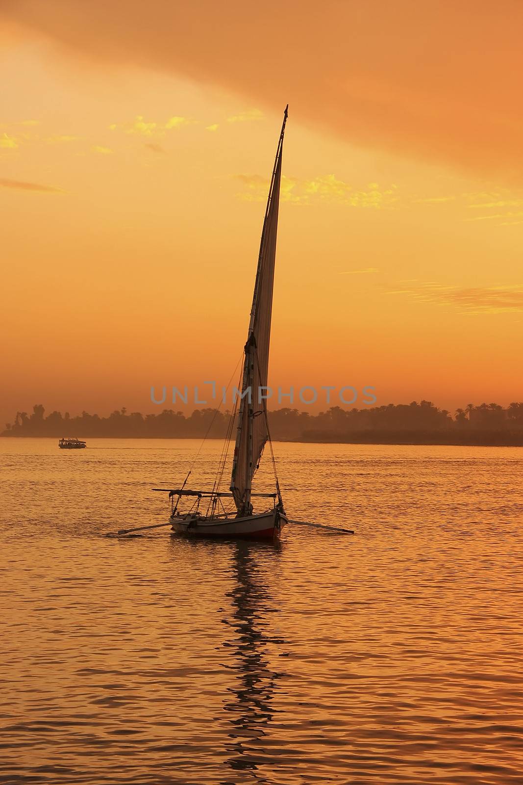 Felucca boat sailing on the Nile river at sunset, Luxor by donya_nedomam