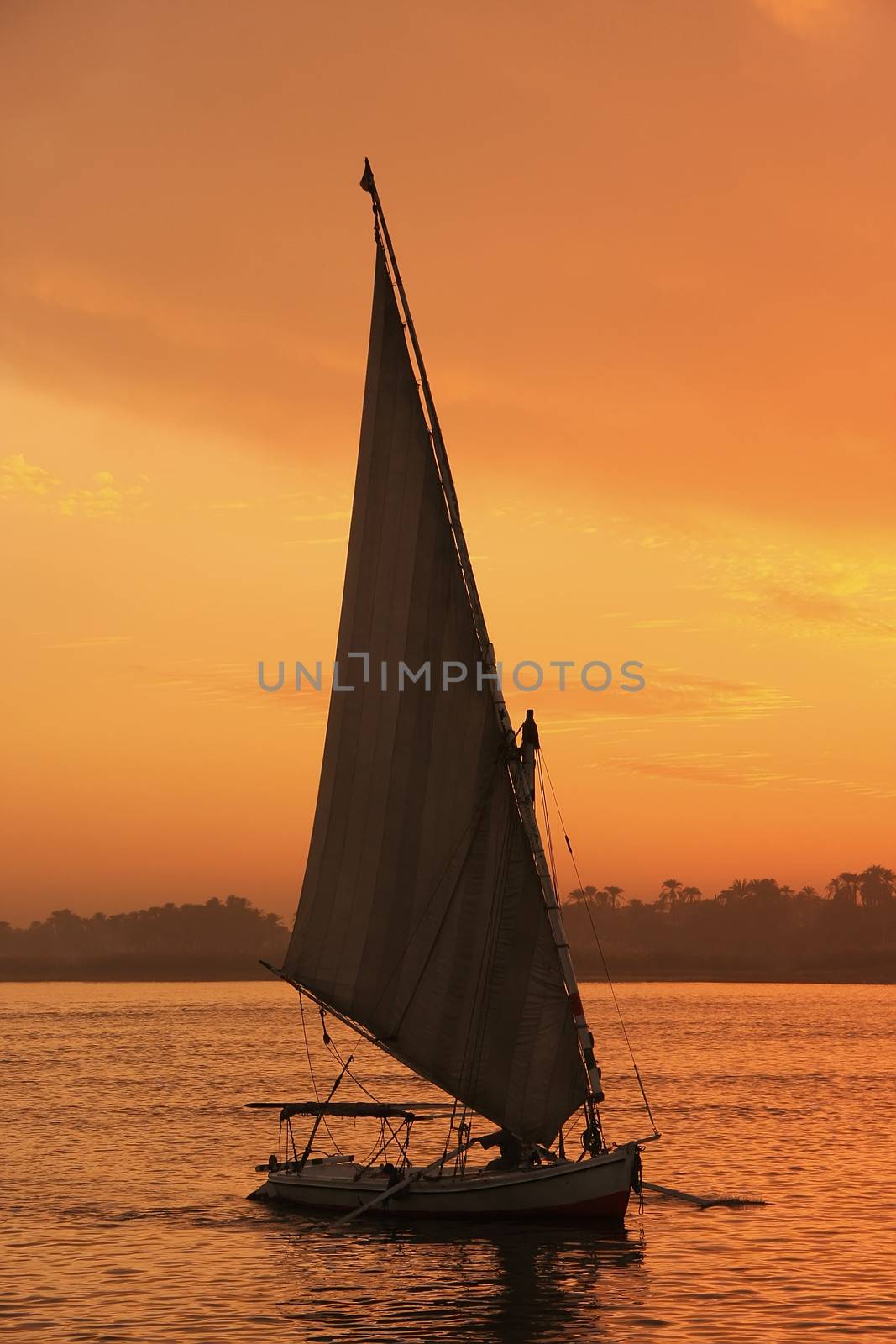 Felucca boat sailing on the Nile river at sunset, Luxor, Egypt