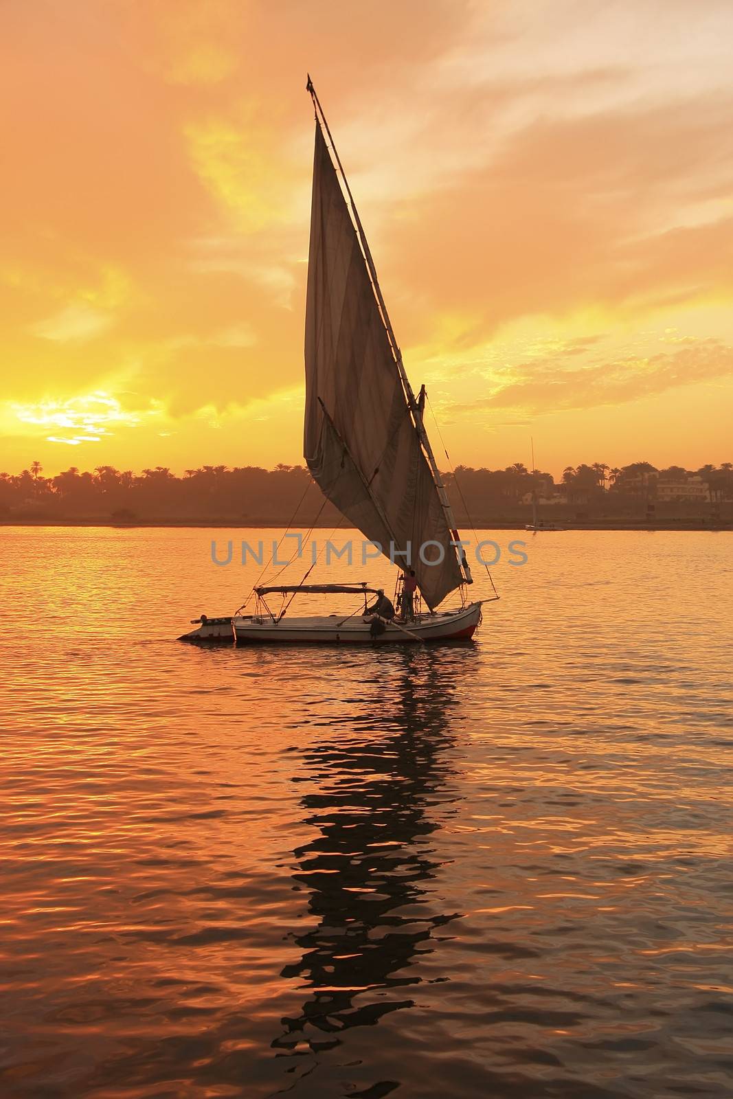 Felucca boat sailing on the Nile river at sunset, Luxor by donya_nedomam