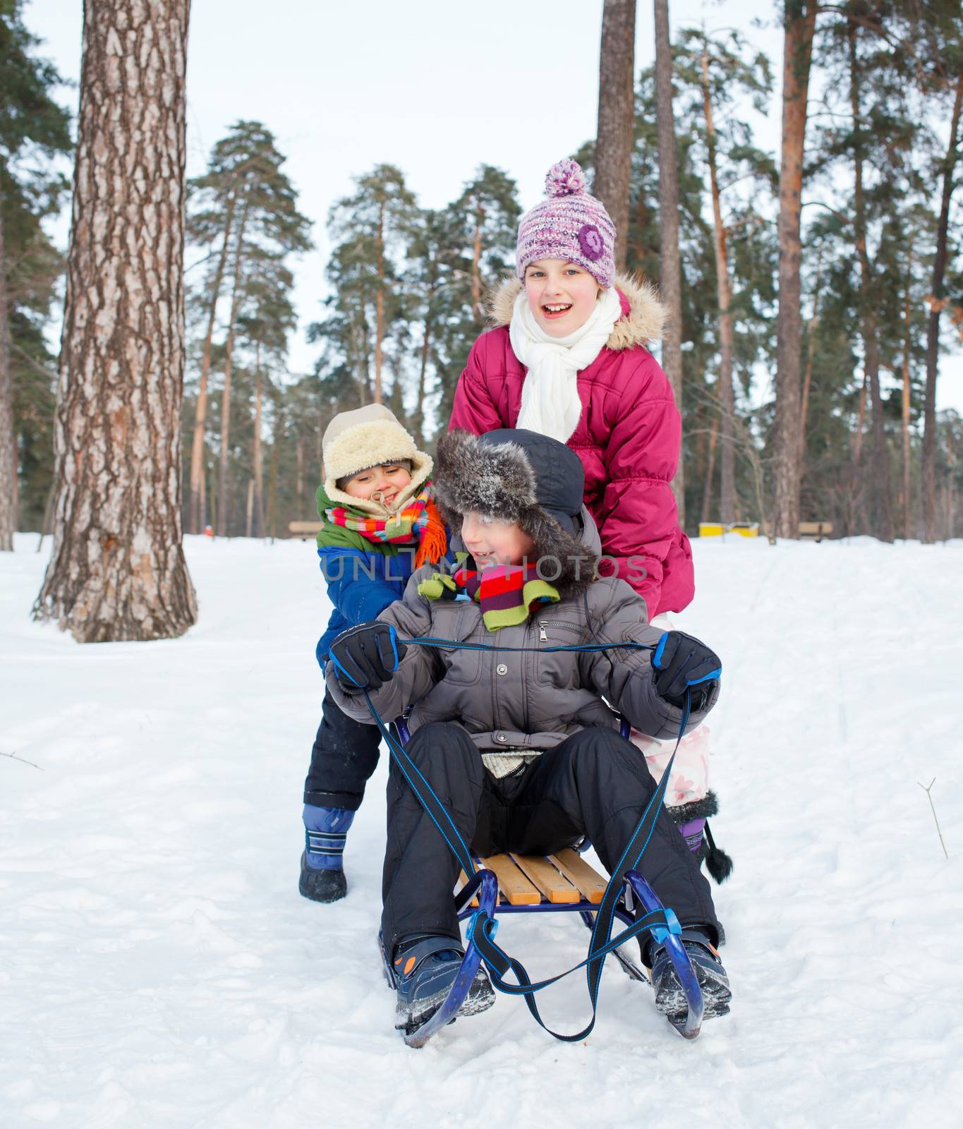 Cute sister and brother on sleds in snow forest. Focus on the boy