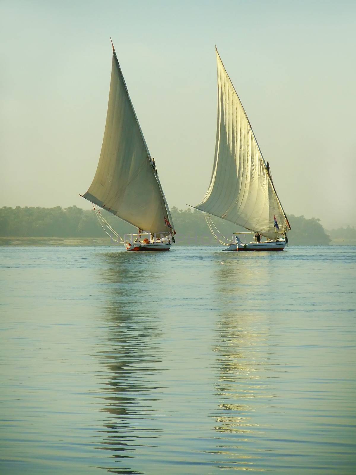 Felucca boats sailing on the Nile river by donya_nedomam