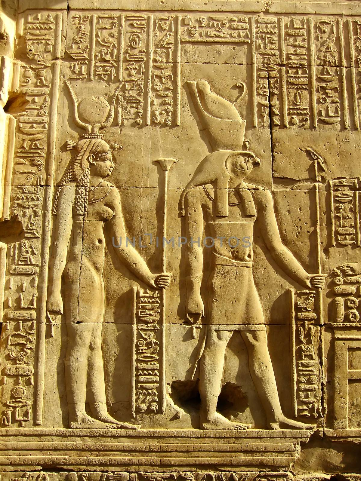 Ancient hieroglyphics on the wall of Kom Ombo temple, Egypt