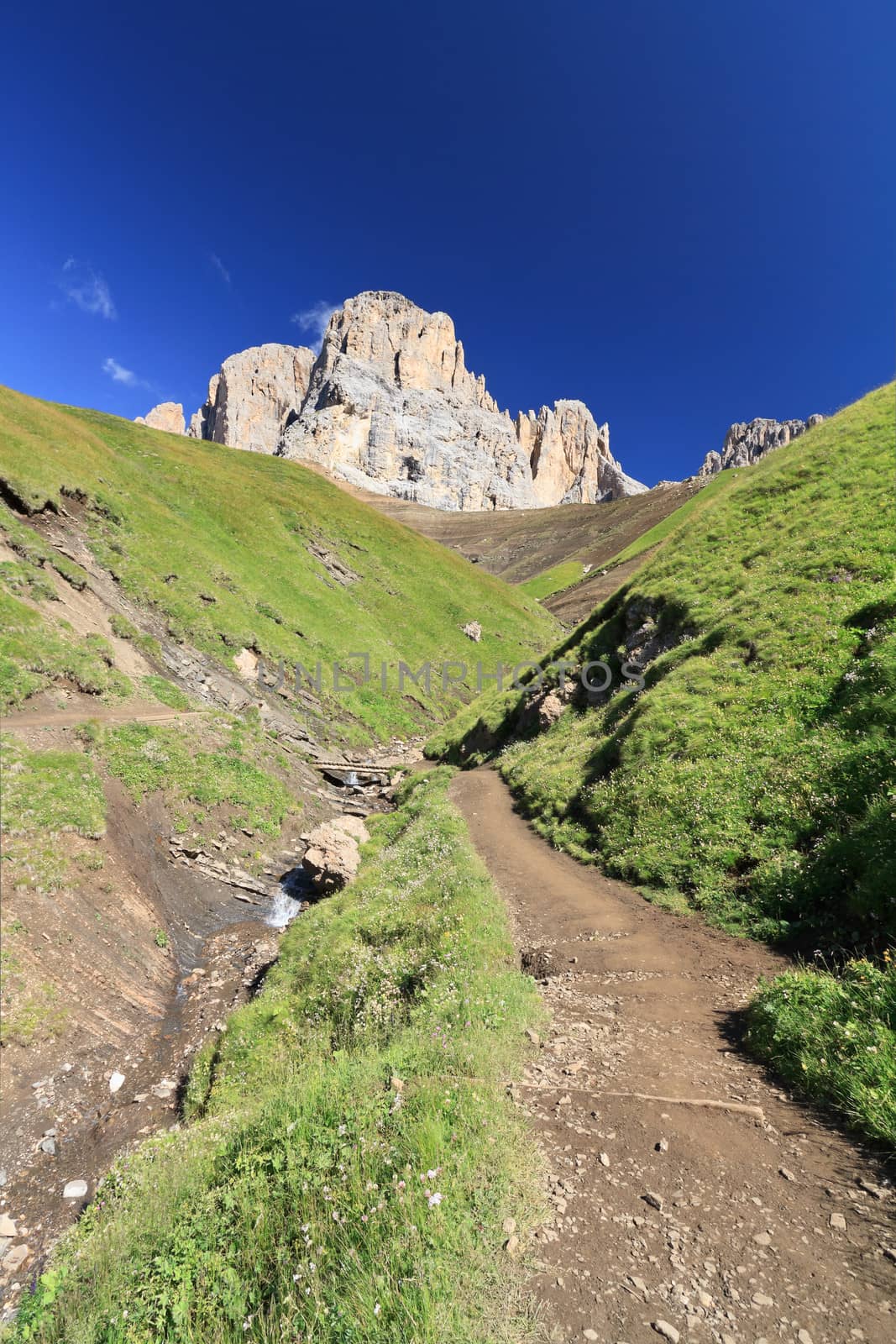 footpath beneath Sassolungo Mount on summer, Trentino, Italy