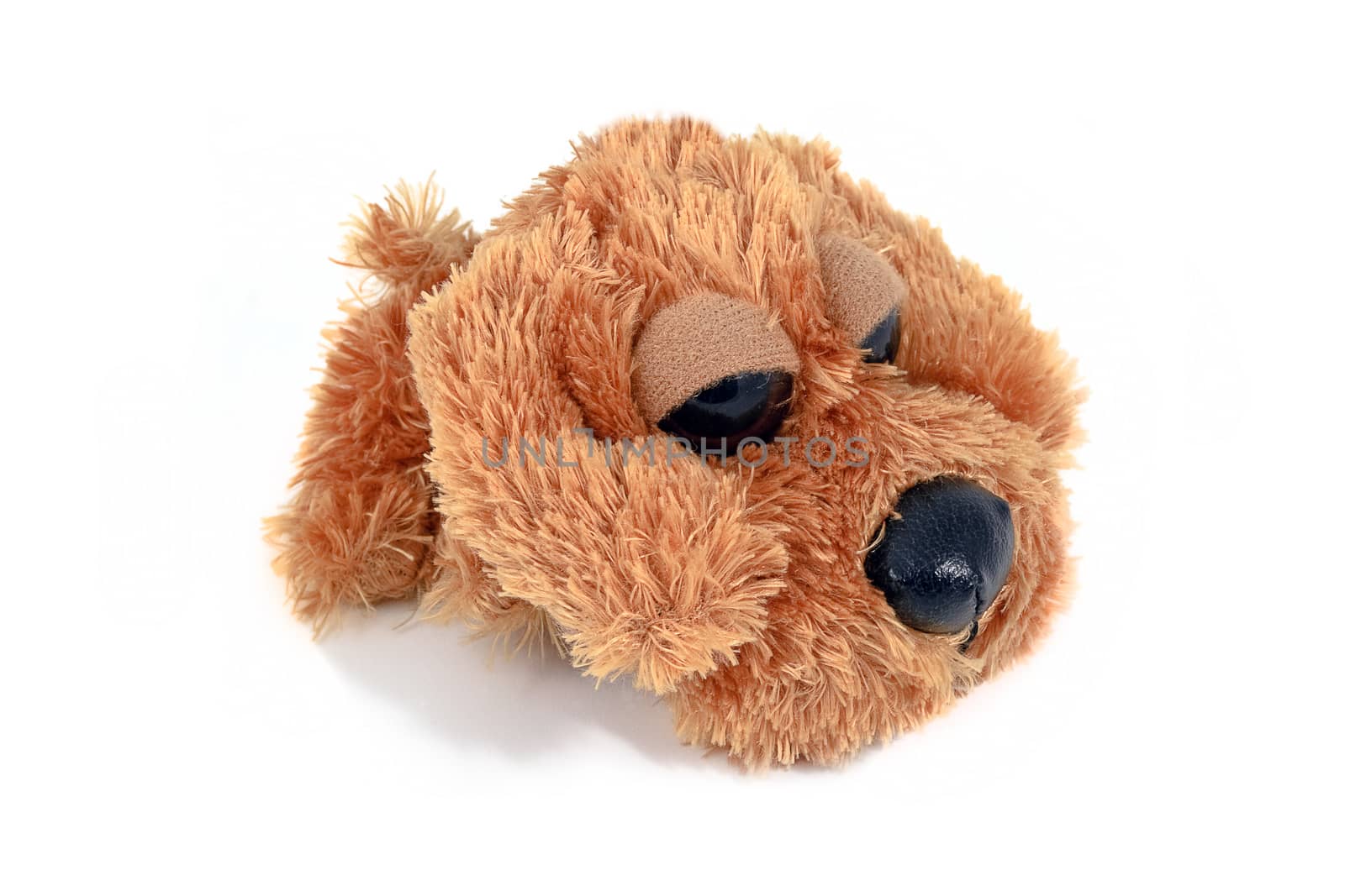 Fuzzy brown puppy toy, isolated on white background