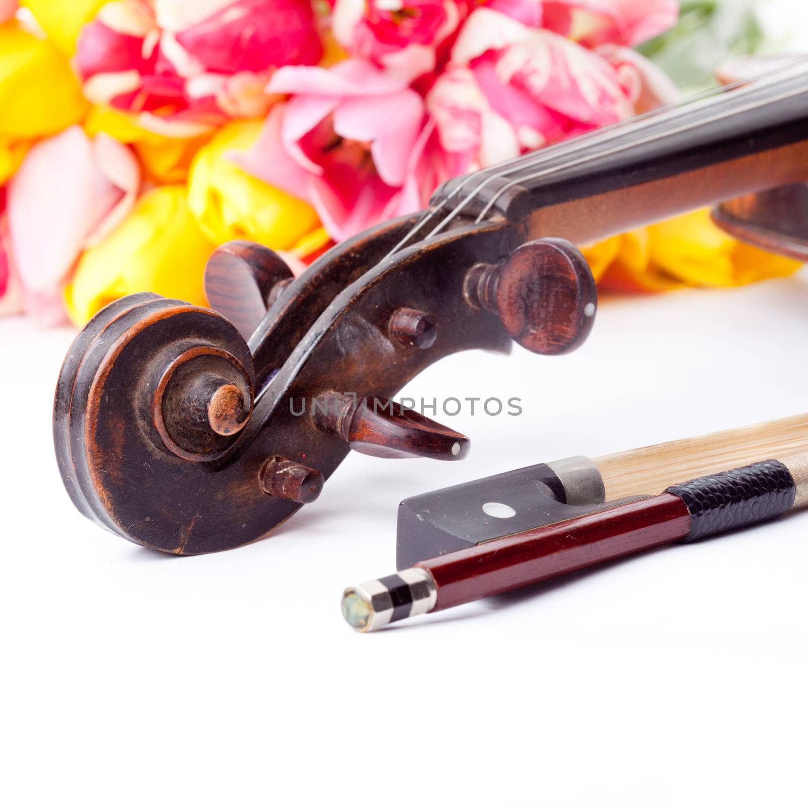 Black old violin by oksix