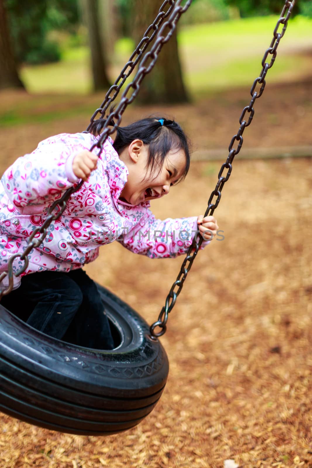 A little girl having a great time on a swing in a playground.