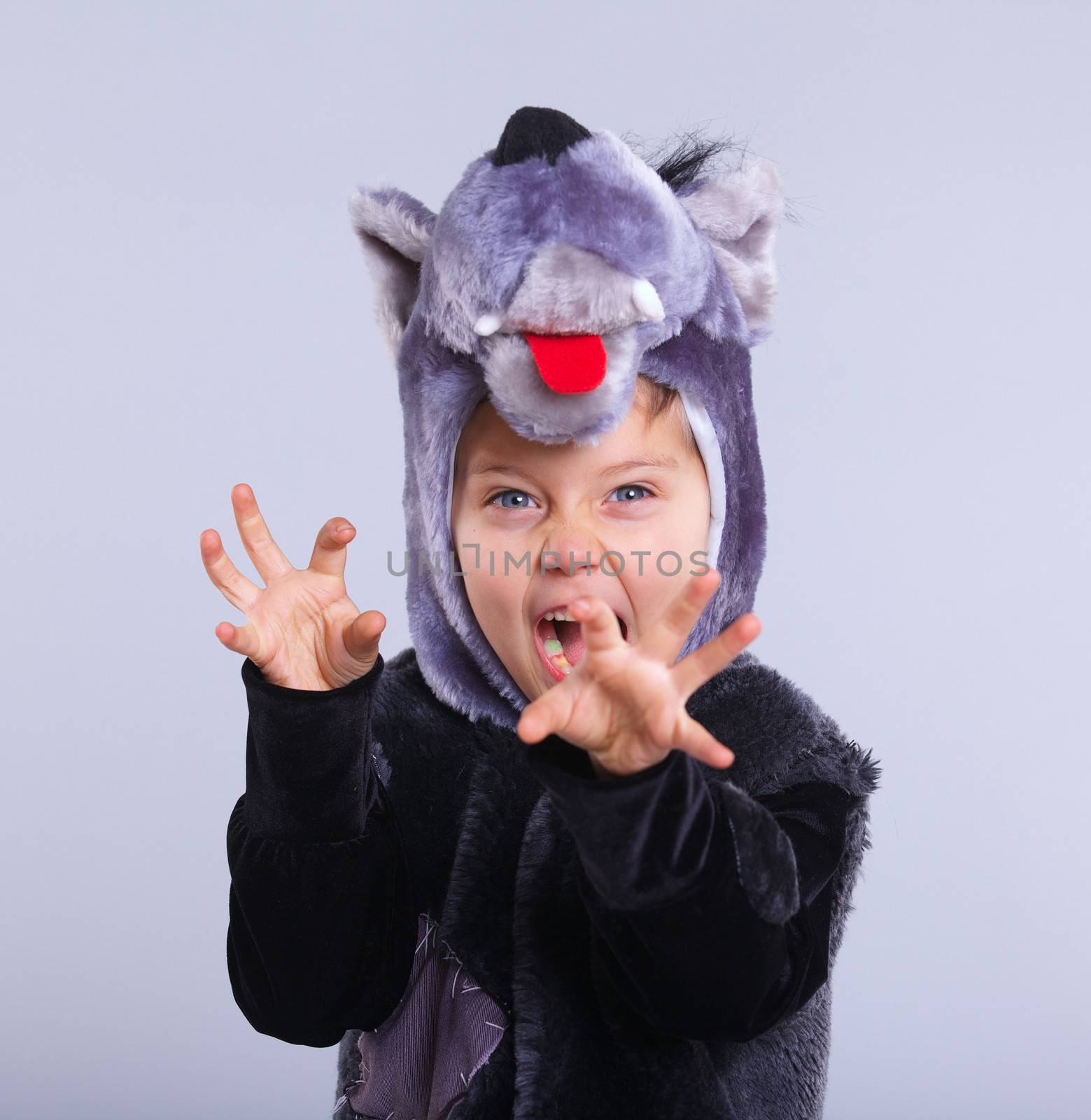 A portrait of a little boy trying a carnival suit of wolf on the grey background